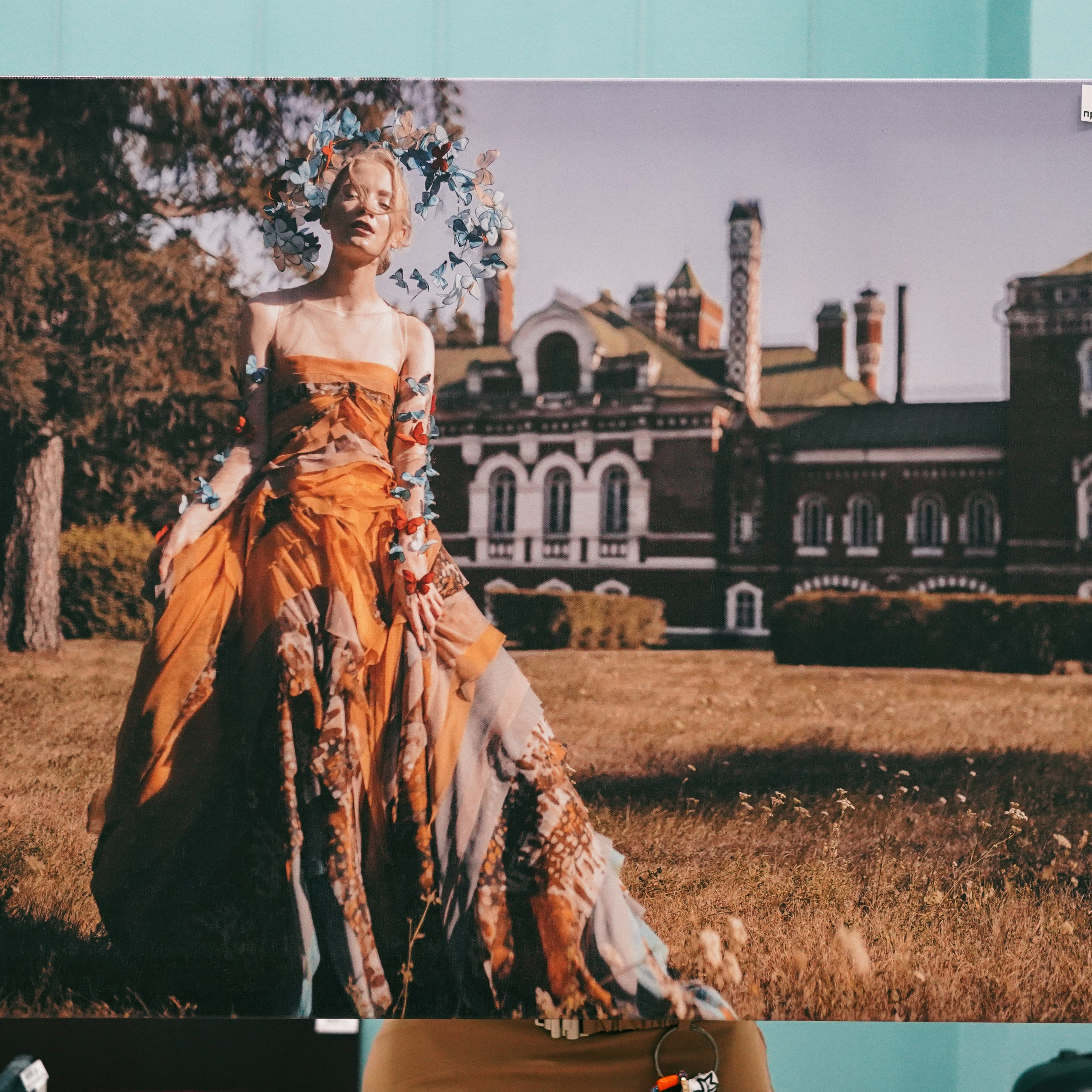 Авторская печать на холсте «Жизнь Бабочки». Художник Katya Warped г. Чебоксары