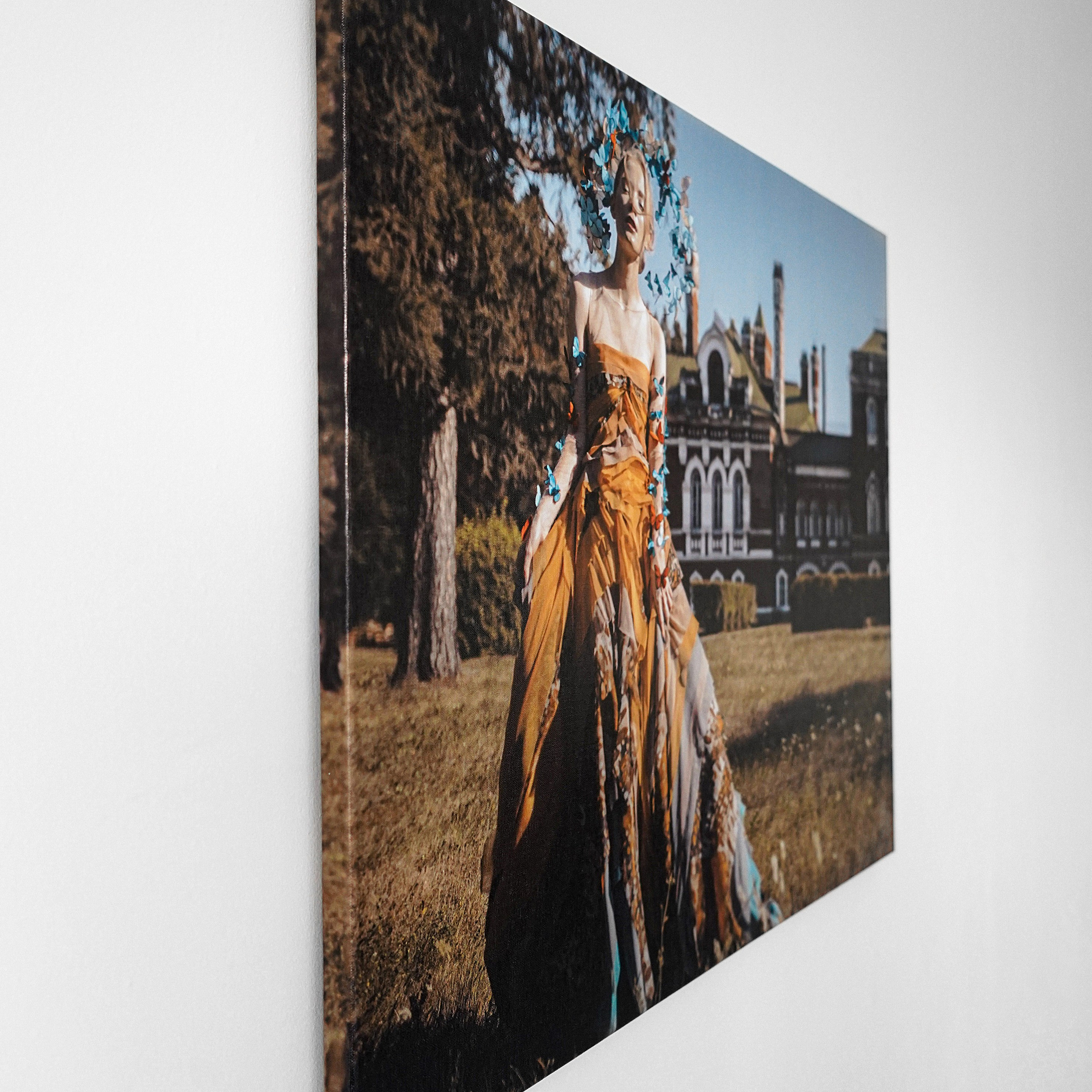 Авторская печать на холсте «Жизнь Бабочки». Художник Katya Warped г. Чебоксары