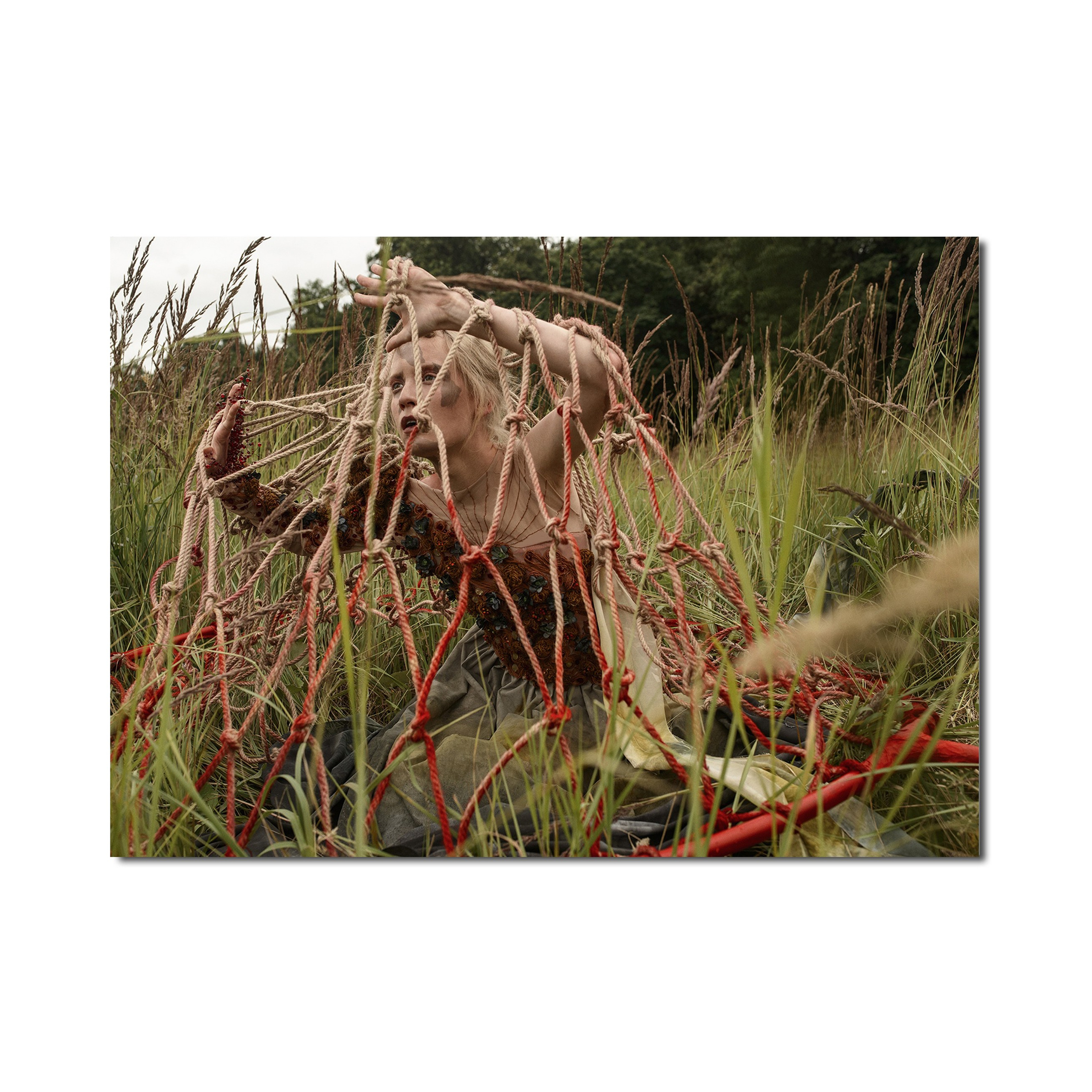 Авторская печать на холсте «Ловушка» 80×60см. Художник Katya Warped г. Чебоксары