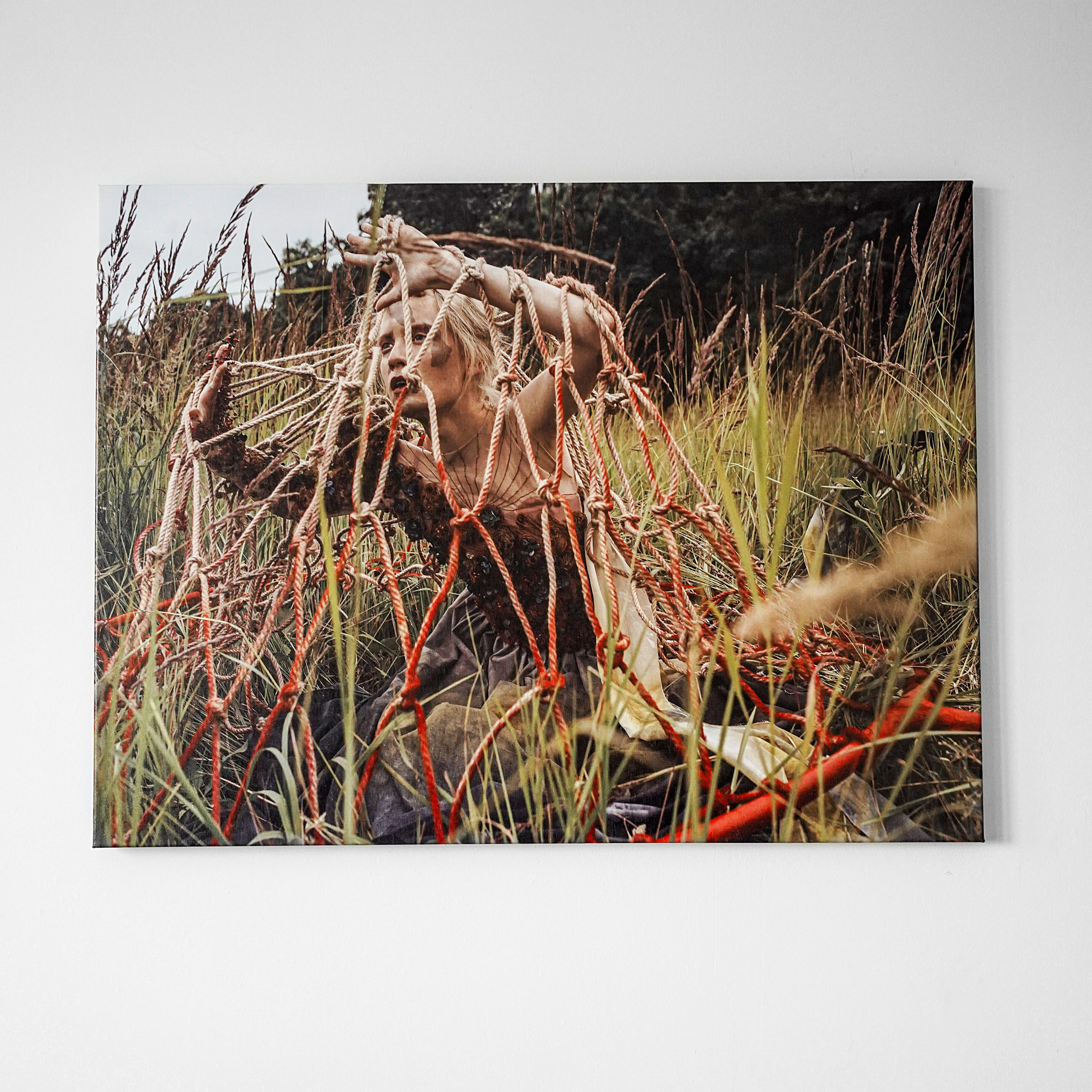 Авторская печать на холсте «Ловушка» 80×60см. Художник Katya Warped г. Чебоксары