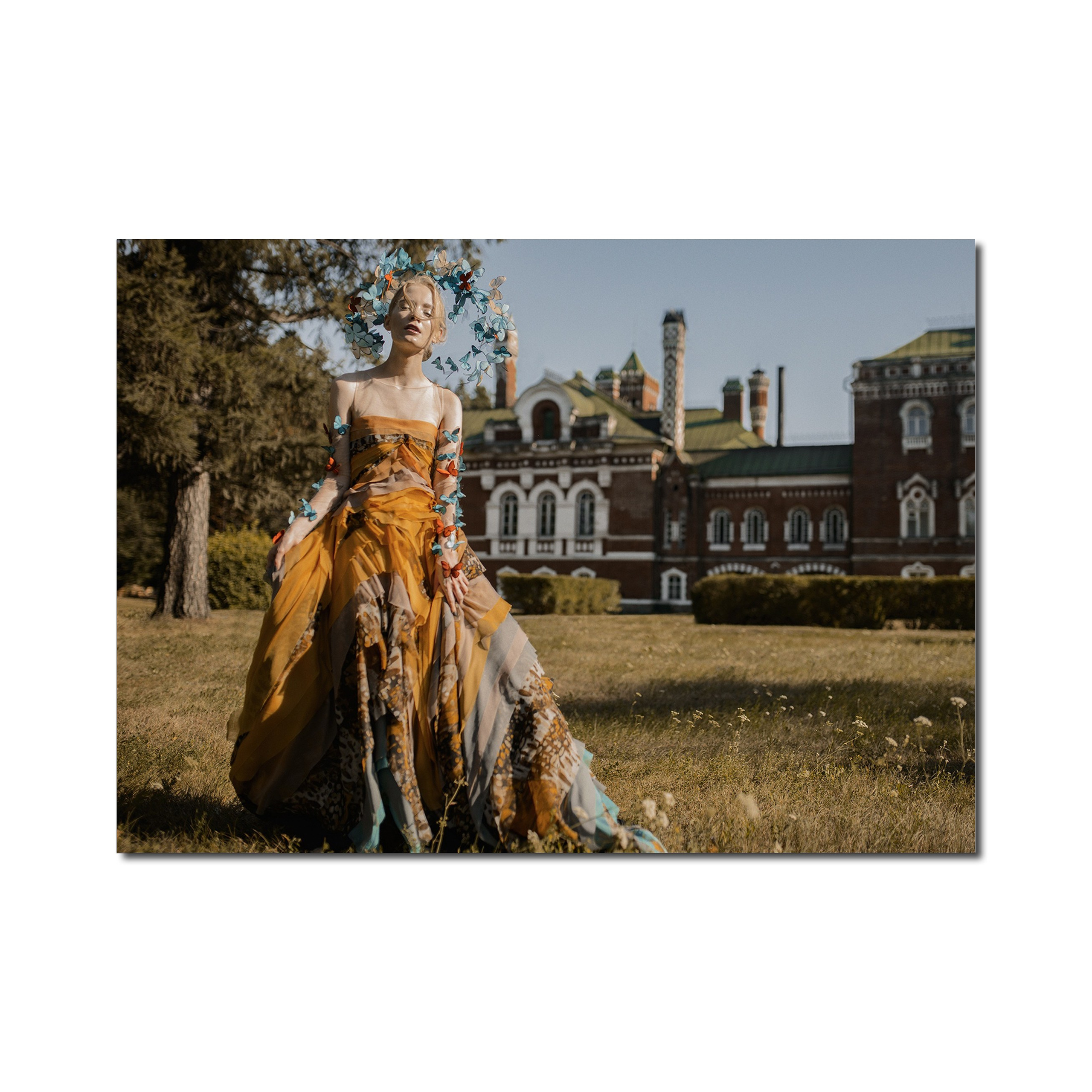 Авторская печать на холсте «Жизнь Бабочки». Художник Katya Warped г. Чебоксары