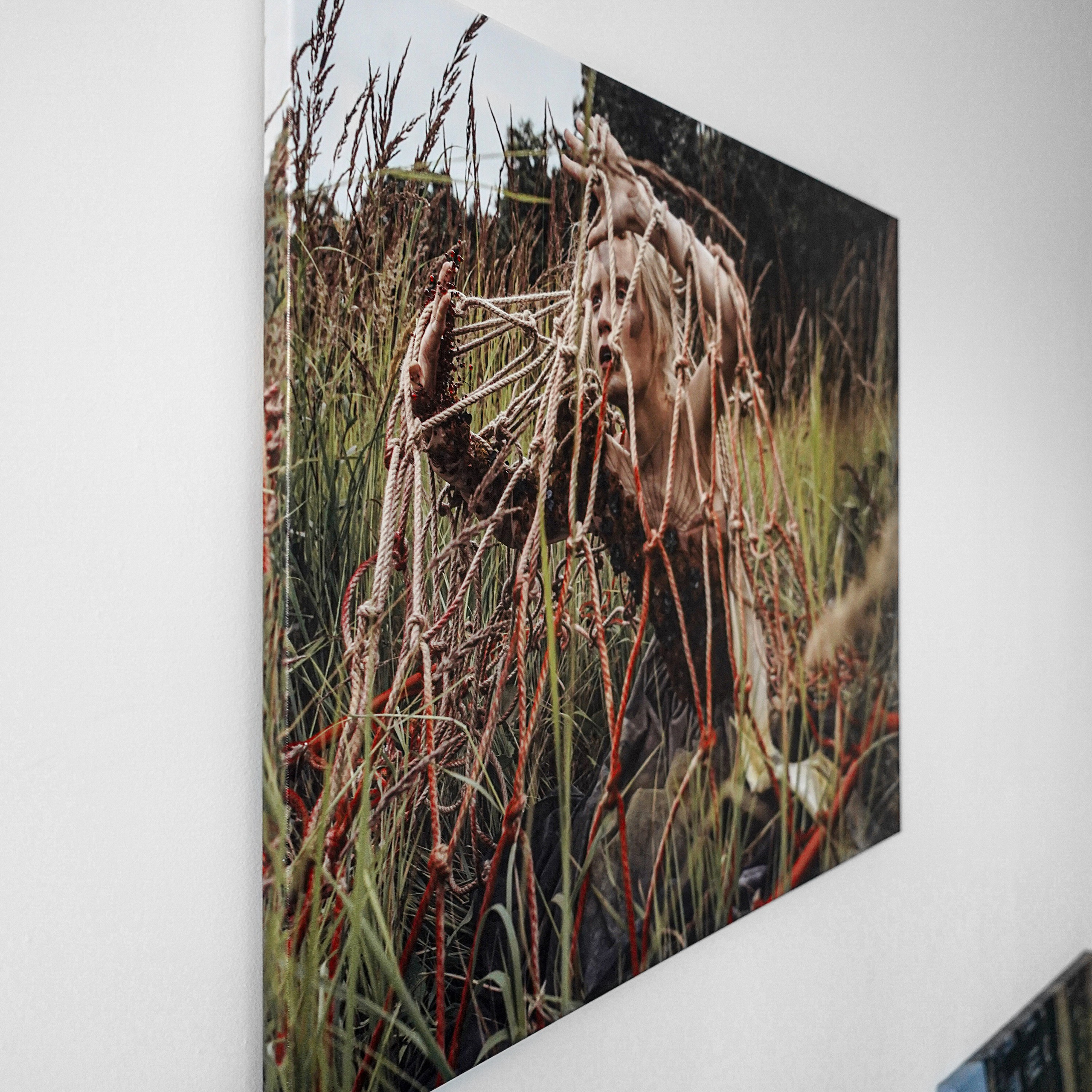 Авторская печать на холсте «Ловушка» 80×60см. Художник Katya Warped г. Чебоксары