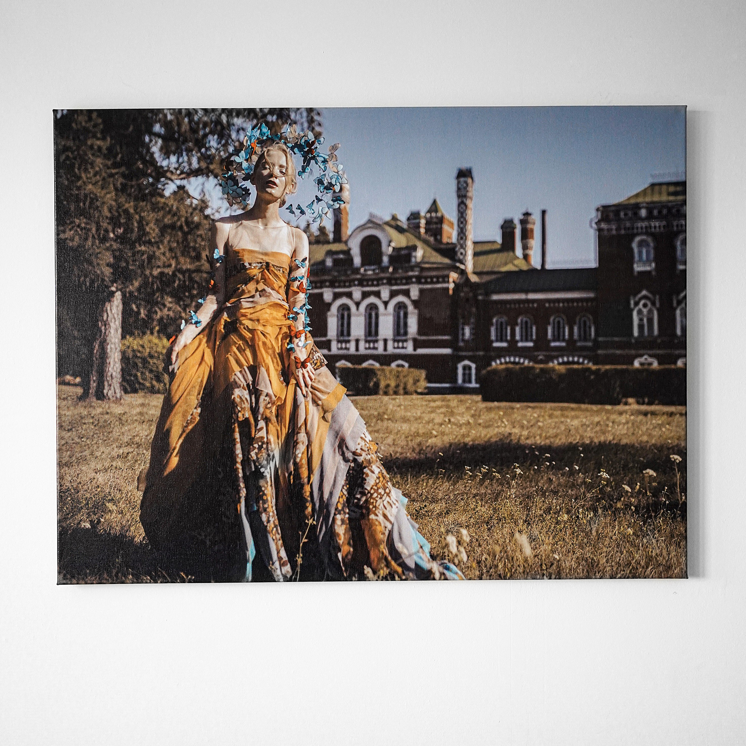 Авторская печать на холсте «Жизнь Бабочки». Художник Katya Warped г. Чебоксары