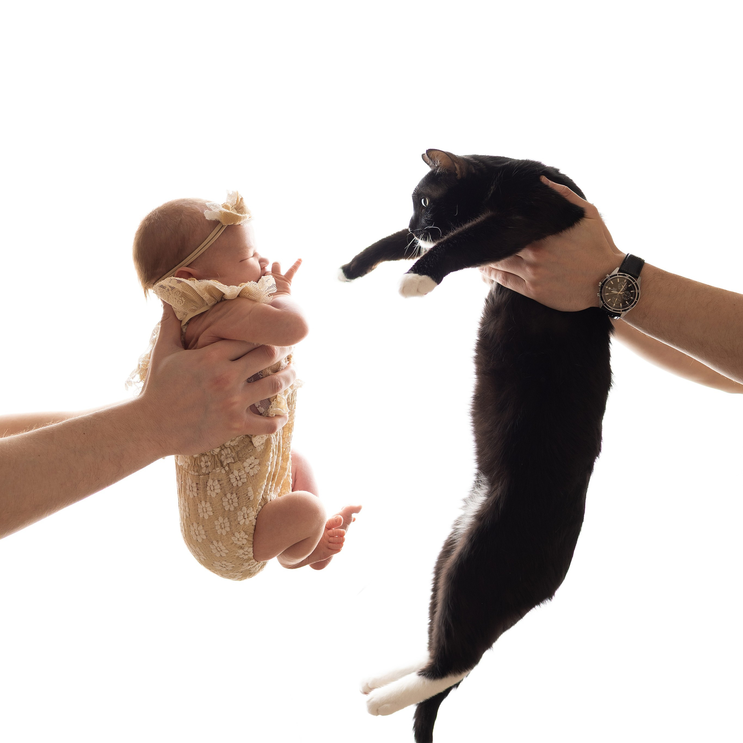 Отзывы. Фотограф новорождённых Newborn Москва