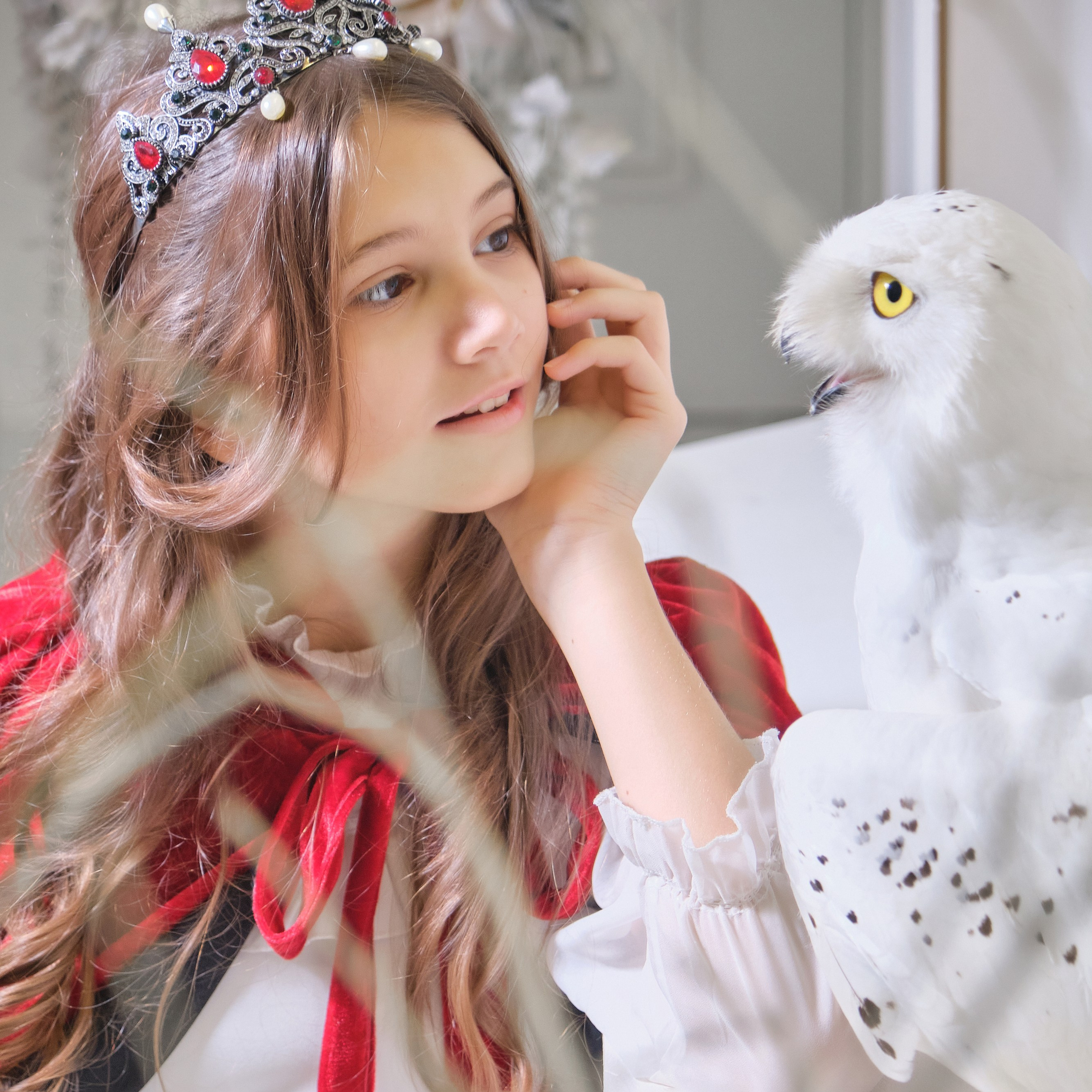 Фотосессия с полярной совой