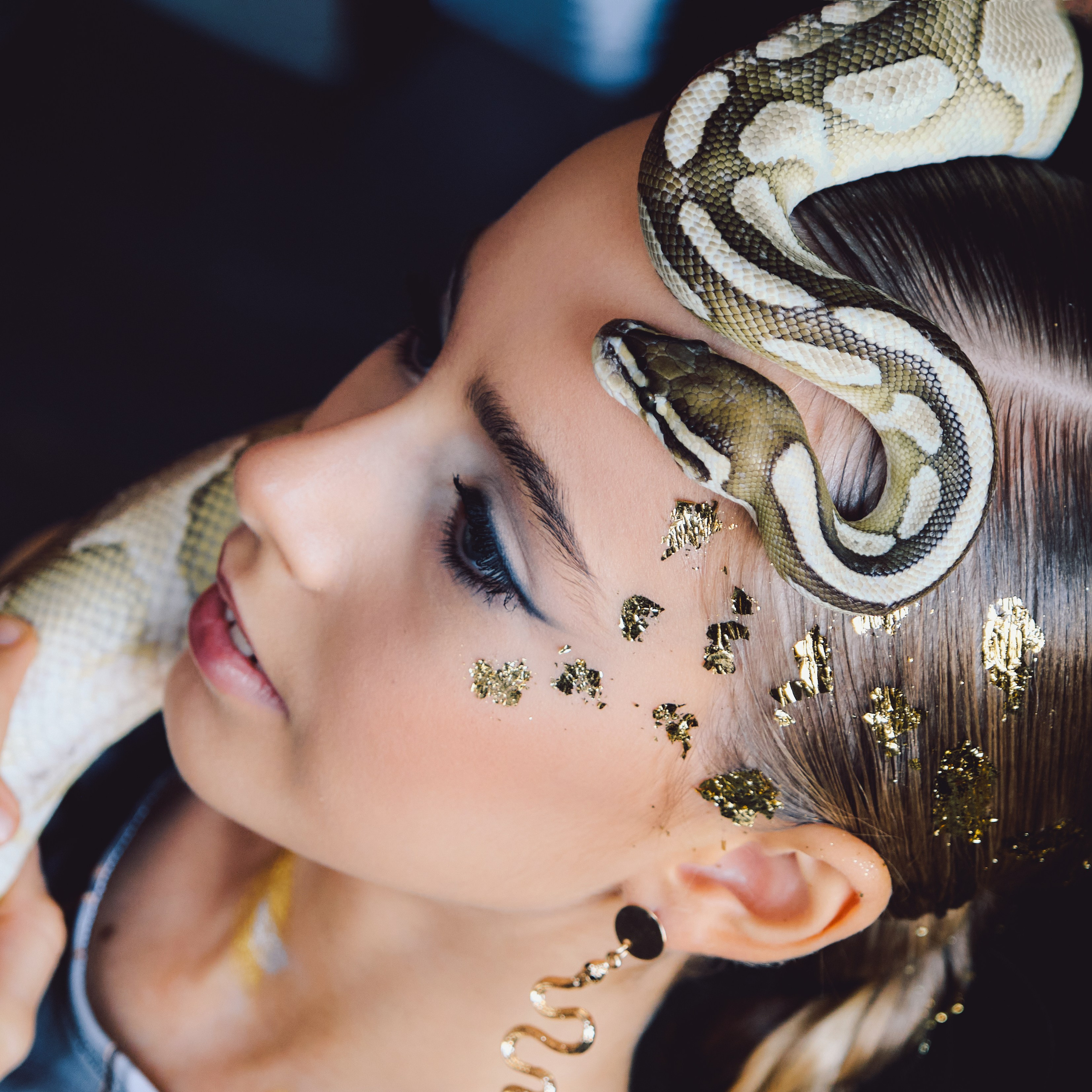 Фотосессия с королевским питоном в Москве