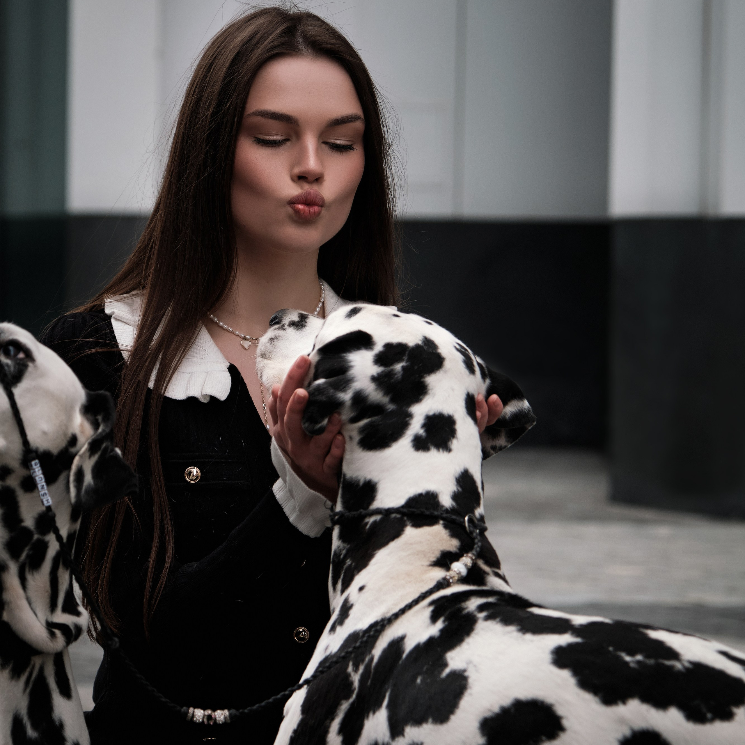 Фотосессия с животными в Москве фотограф Виктория Колышева