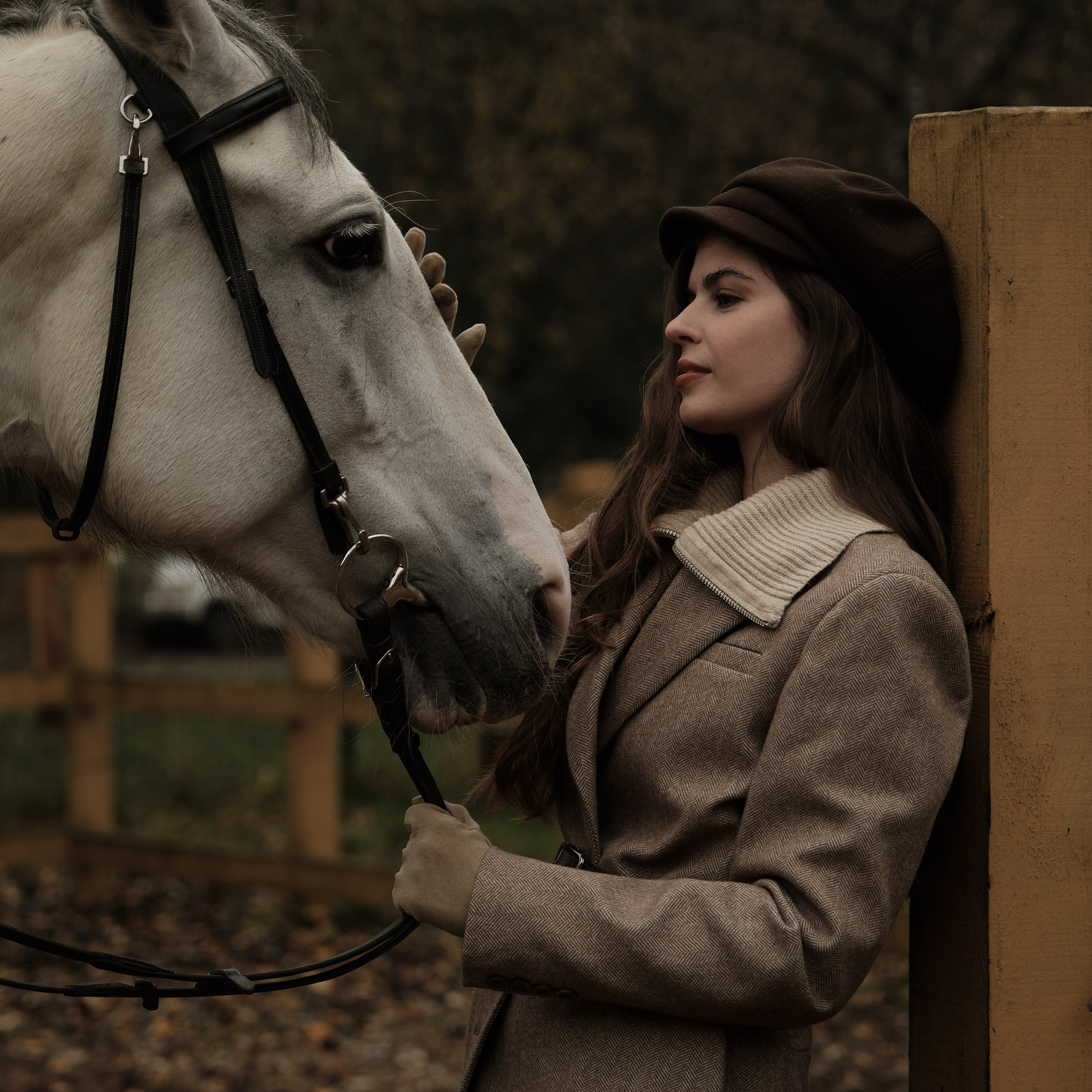 Фотосессия с лошадью