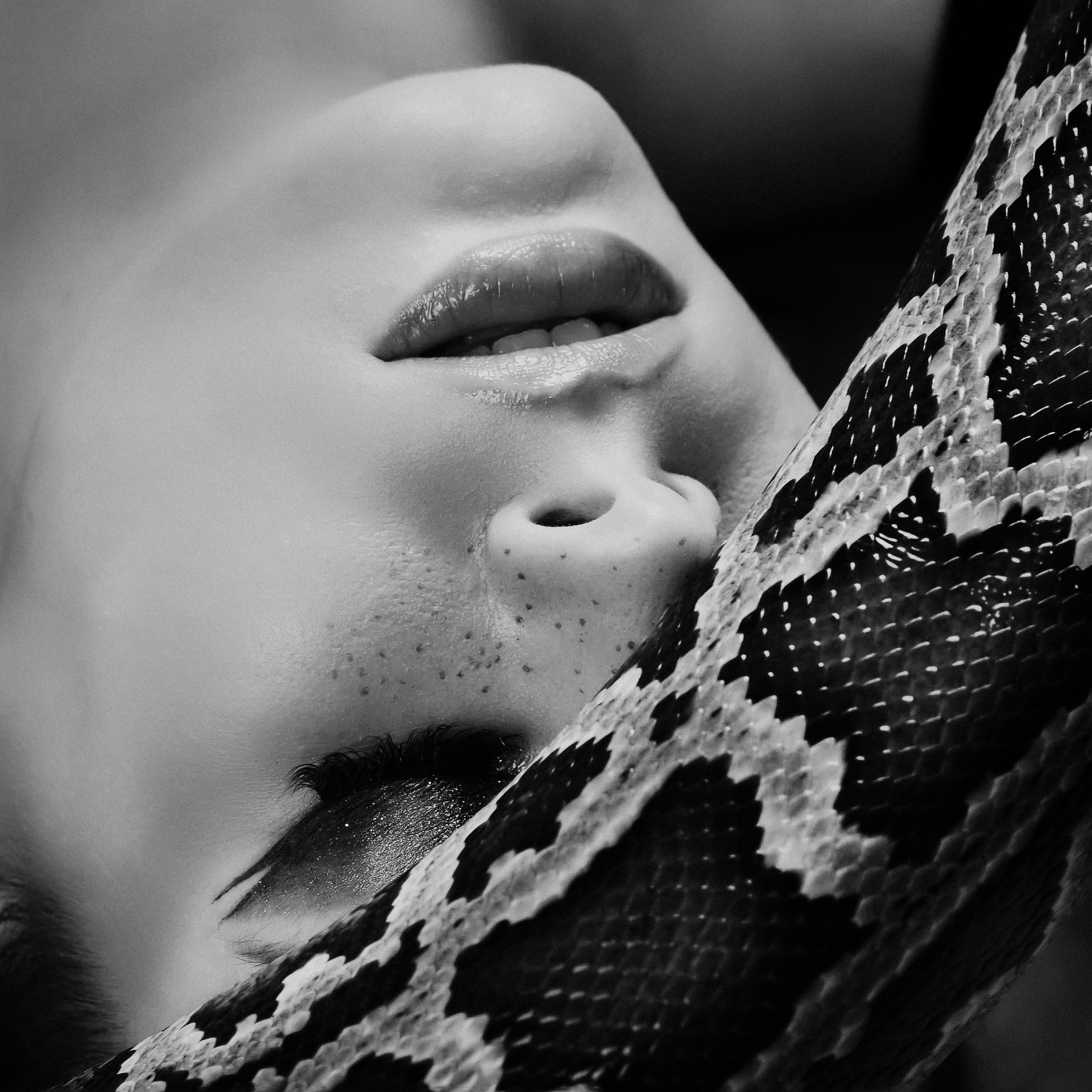 фотосессия с тигровым питоном в москве и московской области