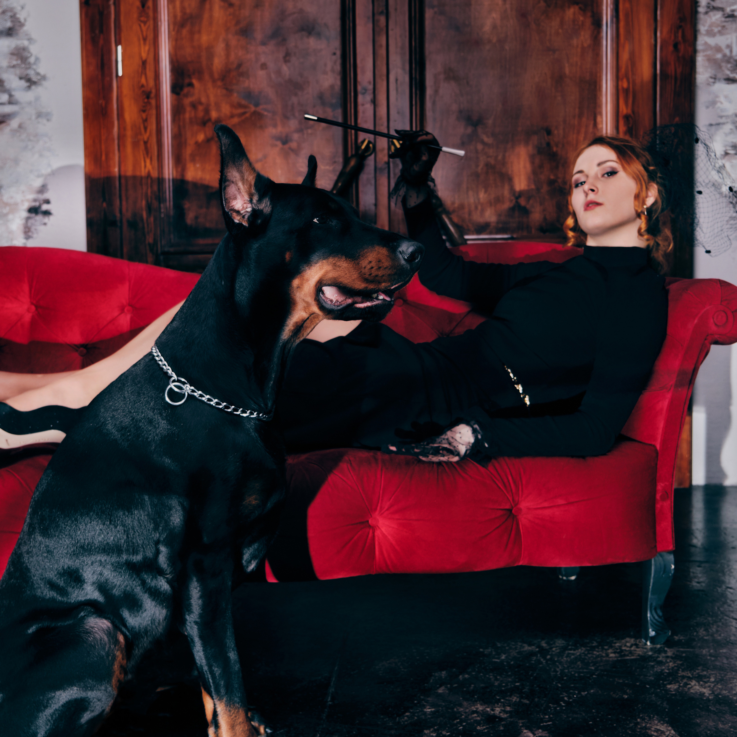 Юлия. Фотосессия с доберманом в студии