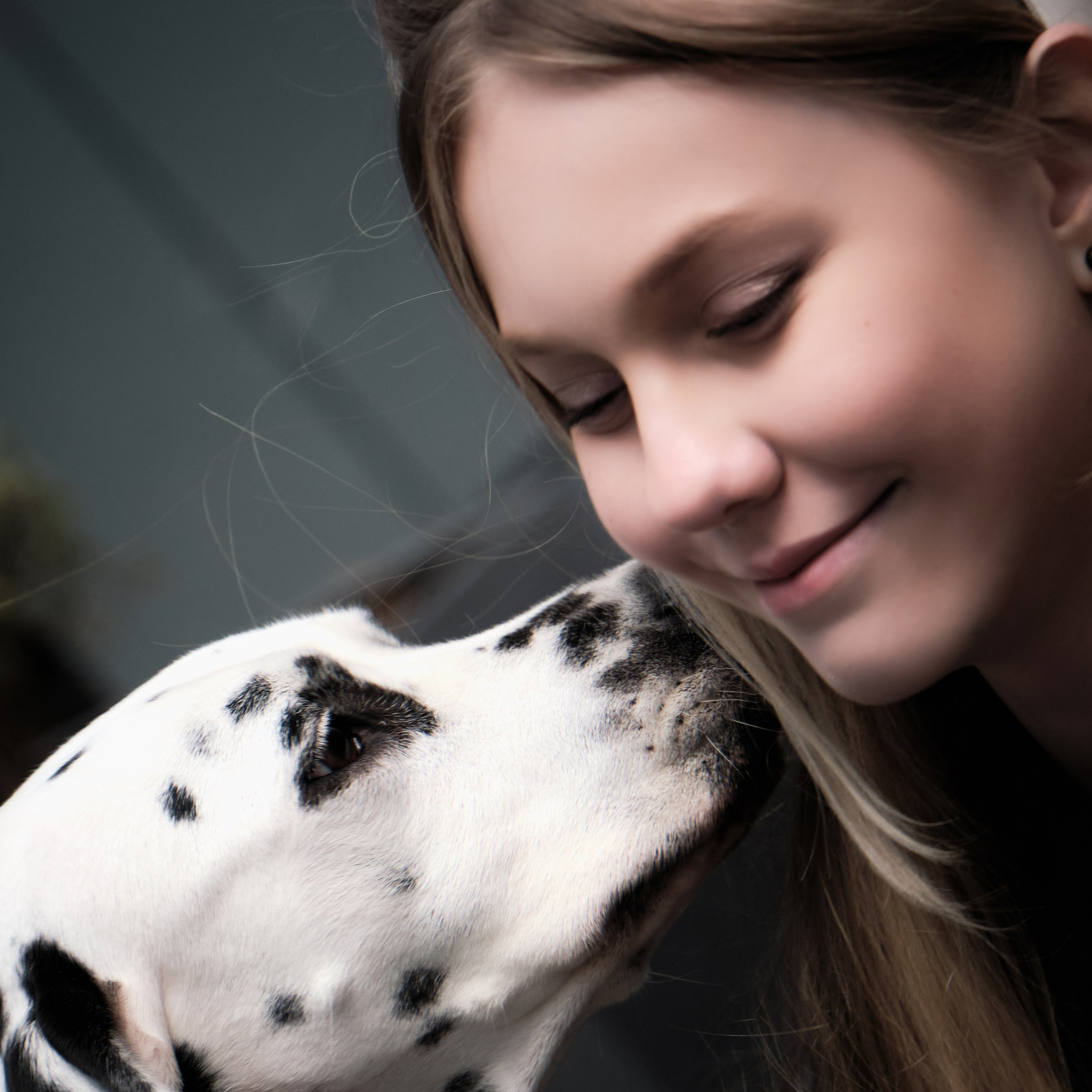 собака в пятнышках для фотосессии в Москве фотограф Виктория Колышева