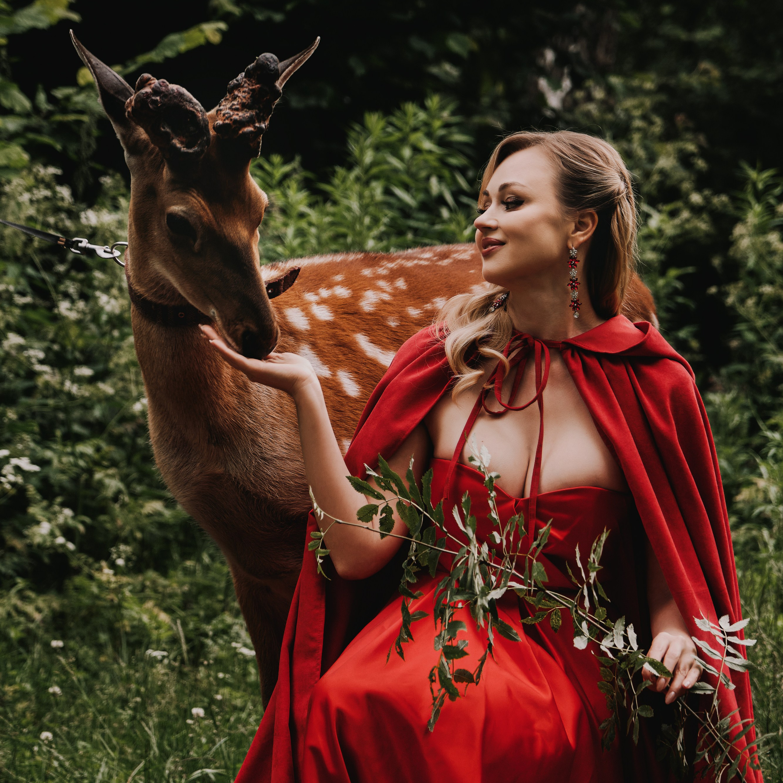 Экзотические животные