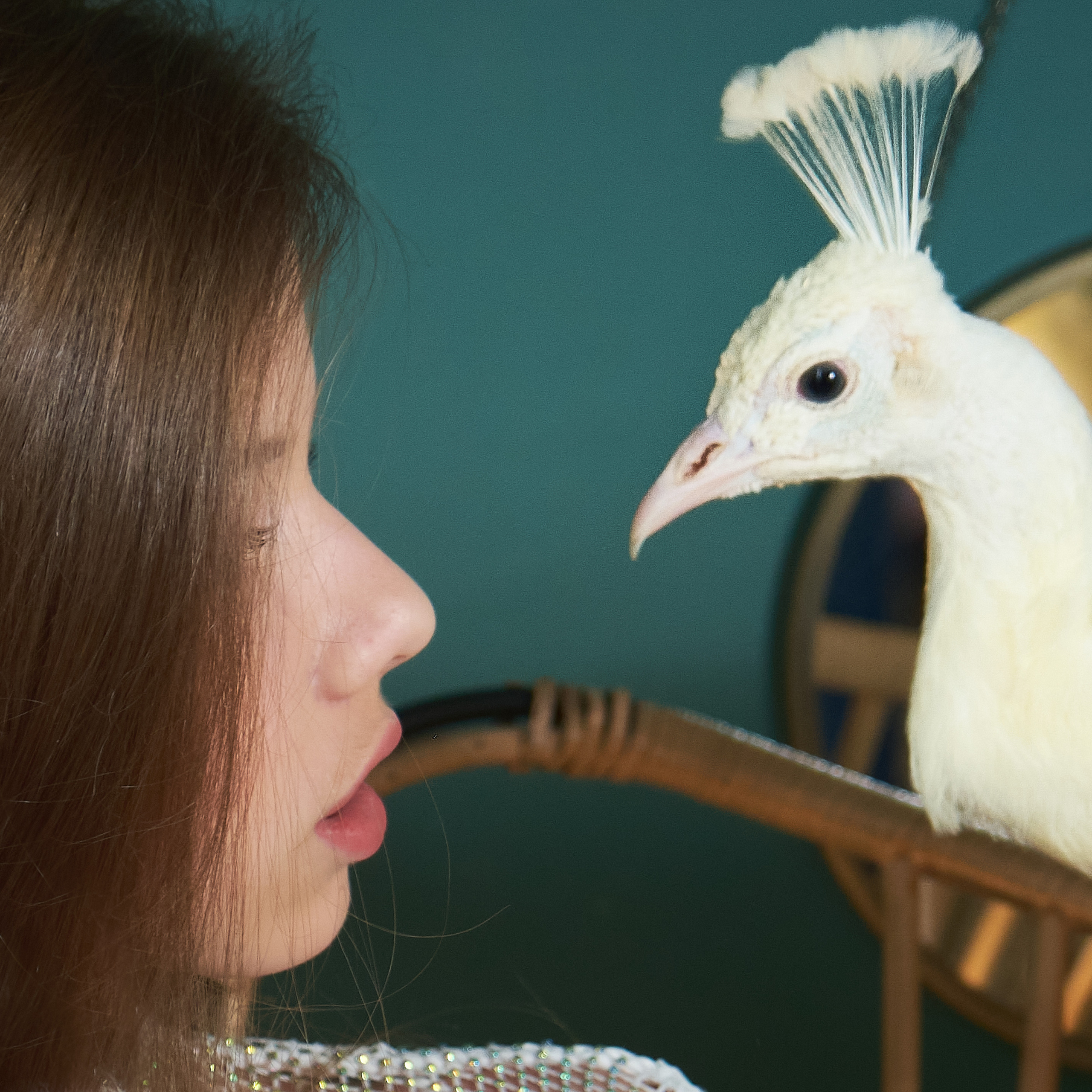 Мария. Фотосессия с павлином в студии