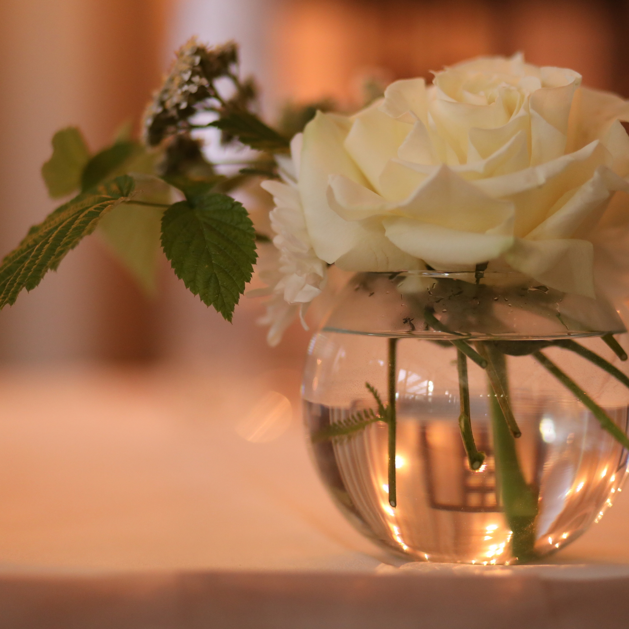 Блог. Свадебный и портретный фотограф в Нижнем Новгороде Дарья Воронова