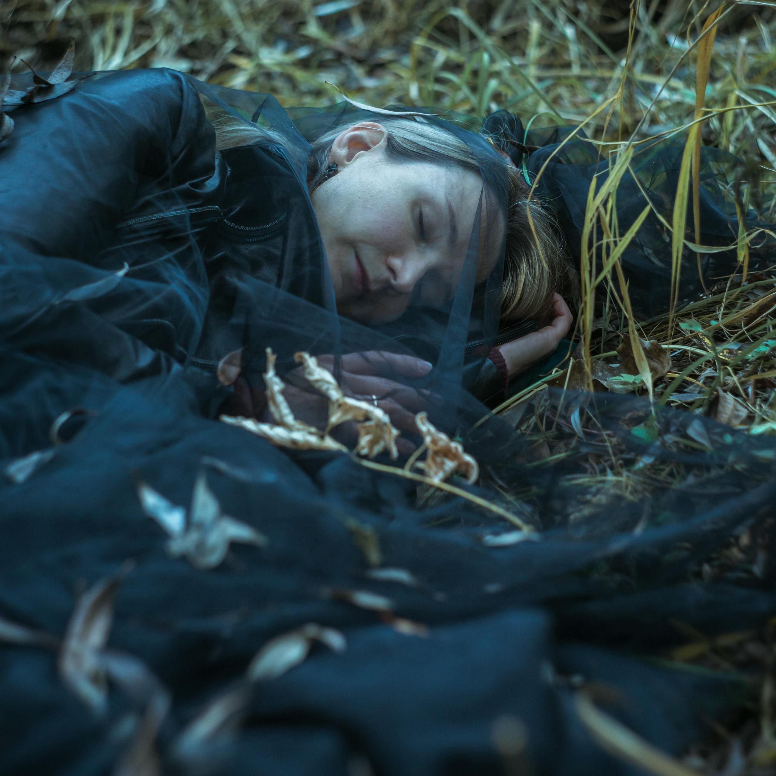 Сон Анастасии