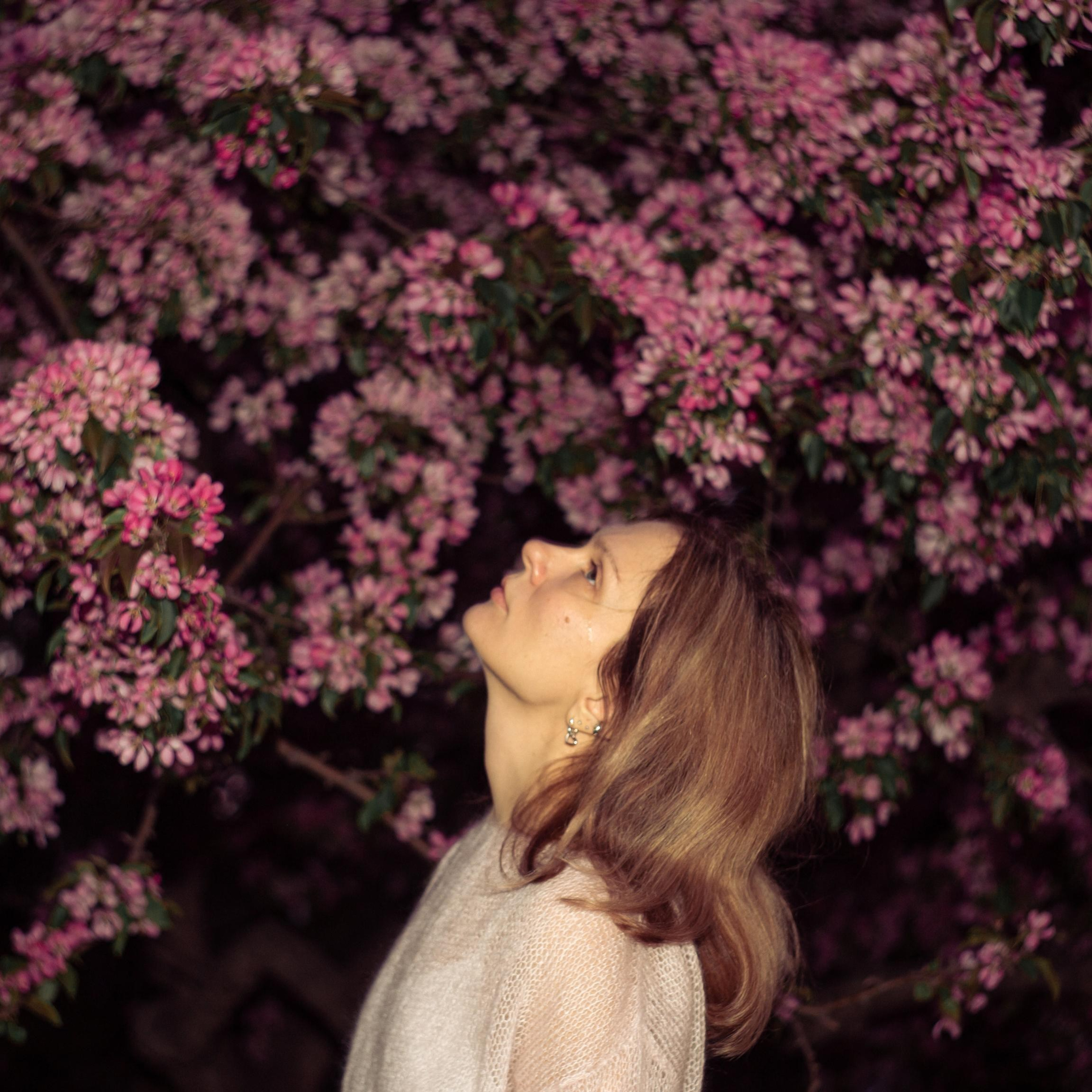 Цвет Яблонь