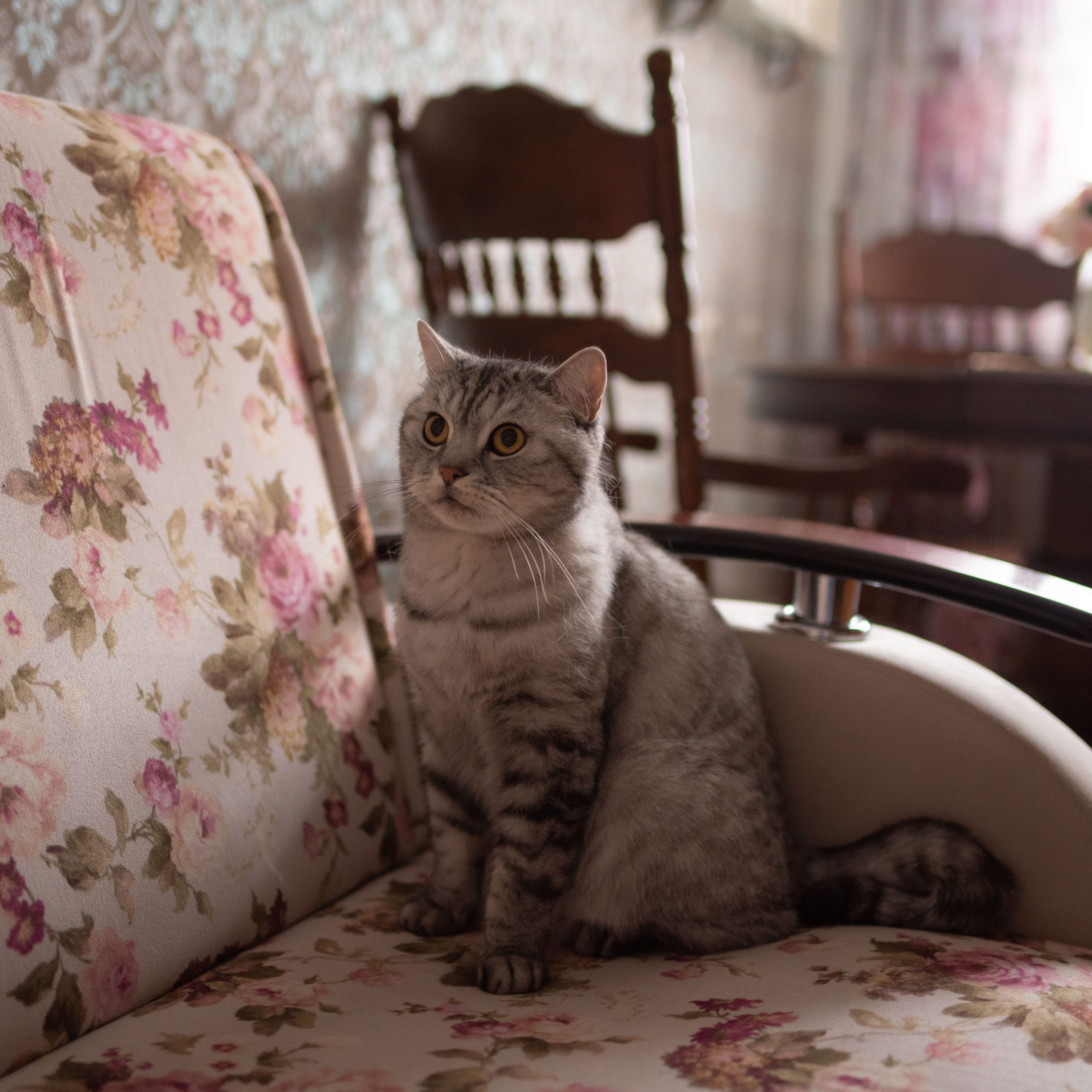 Отзывы. Семейный и детский фотограф в Москве и Туле