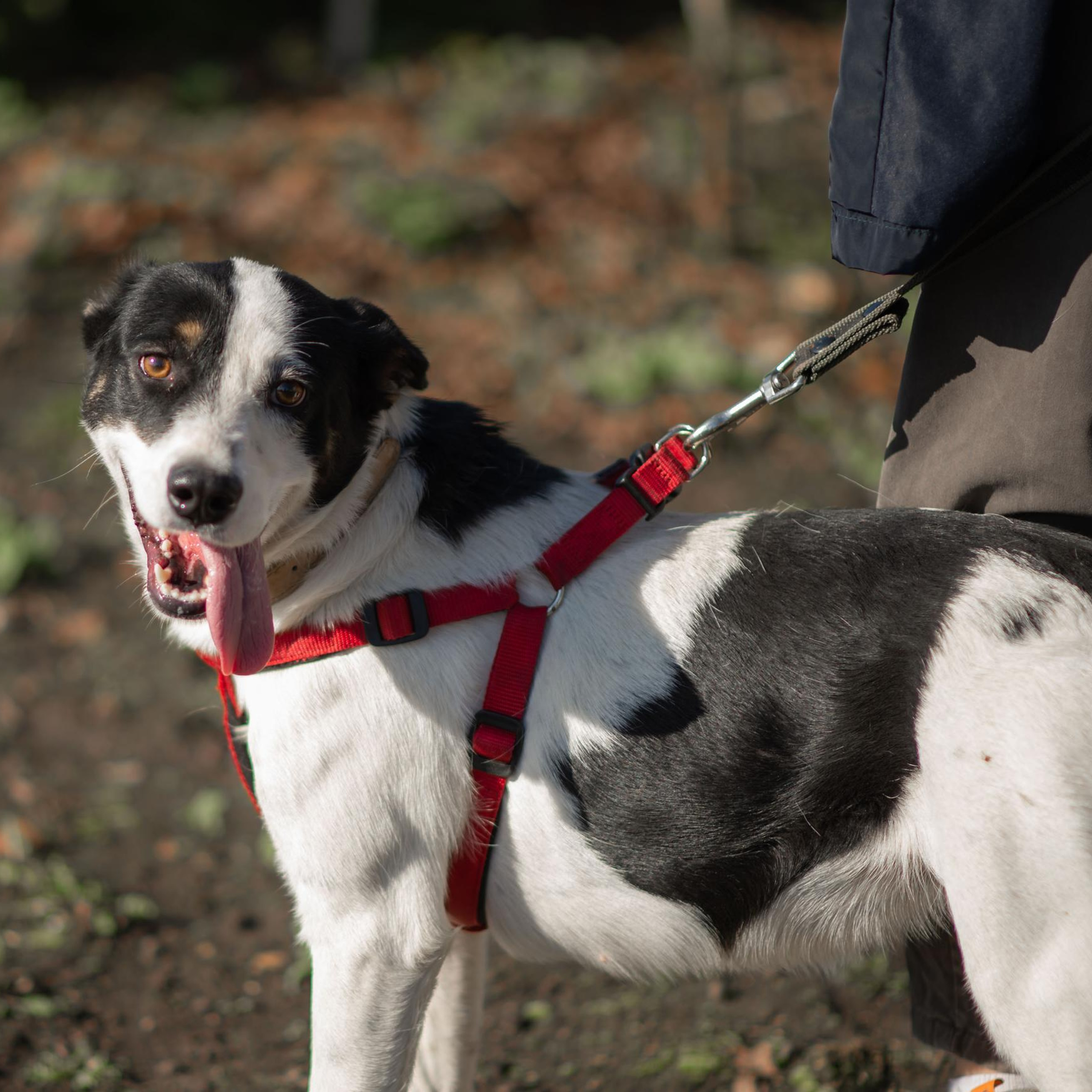 Отзывы. Семейный и детский фотограф в Москве и Туле
