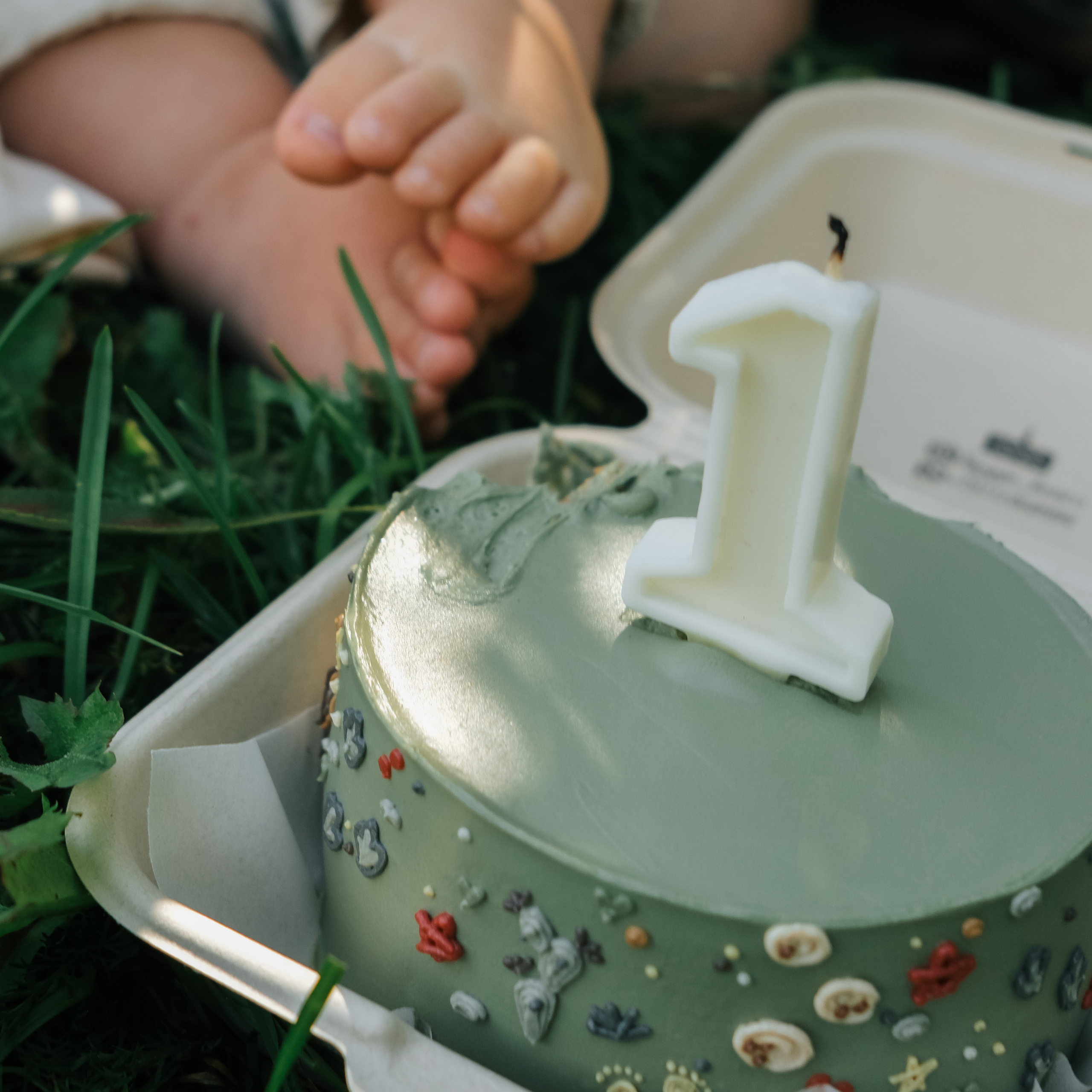 семейная фотосессия в честь годика Максика