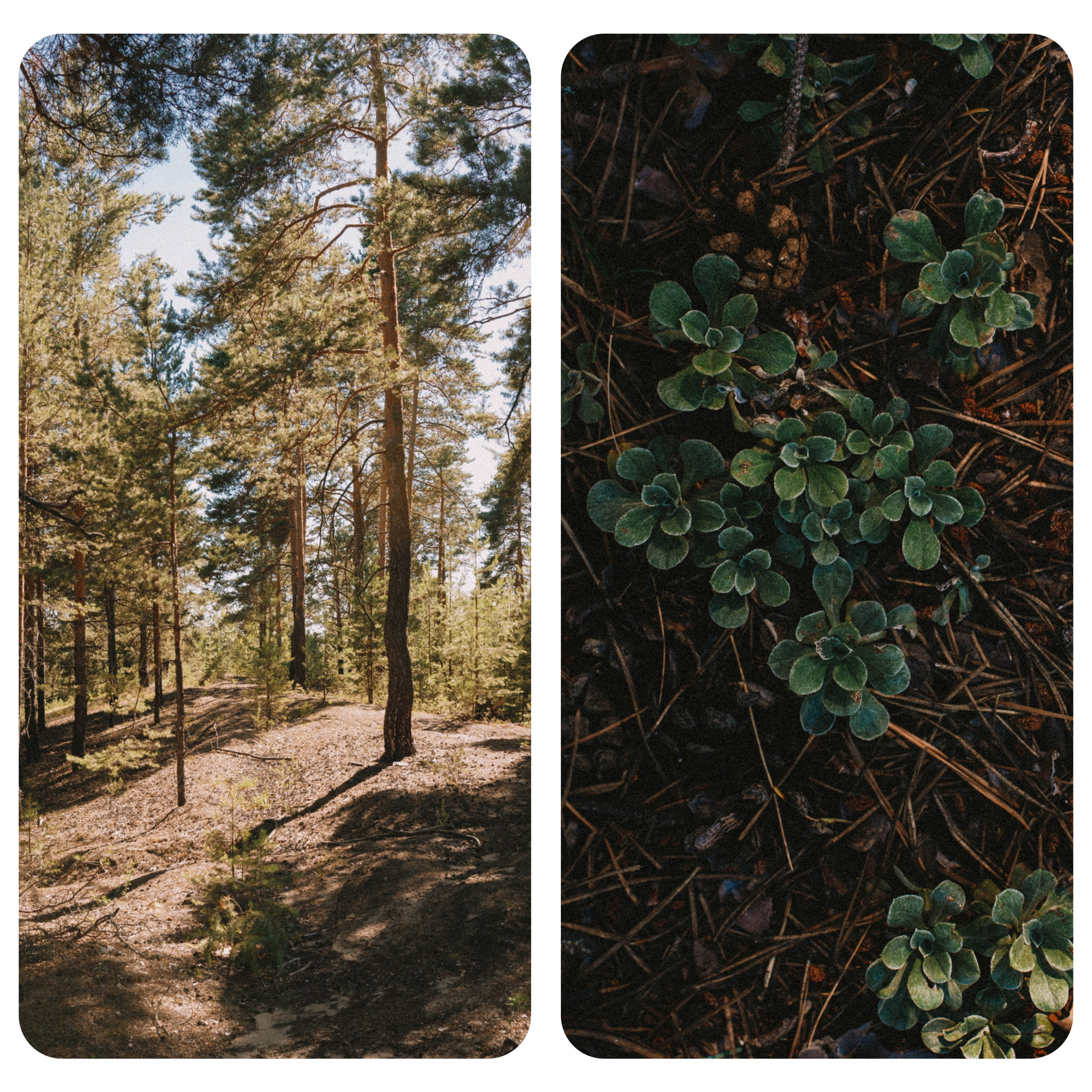 Нижний Новгород. Фотограф из Москвы — DASHA NOVA | Авторская фотография в разных жанрах