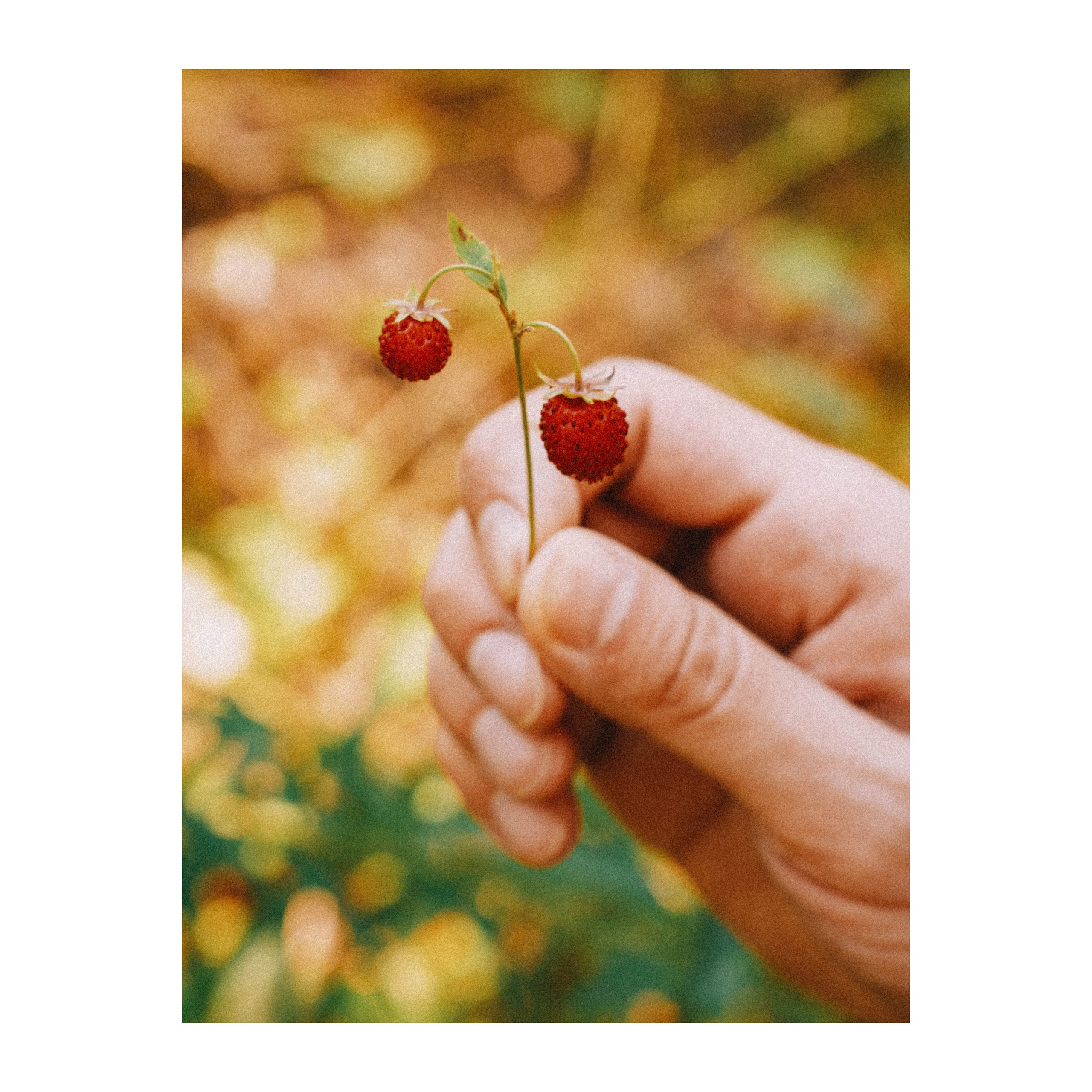 Нижний Новгород. Фотограф из Москвы — DASHA NOVA | Авторская фотография в разных жанрах