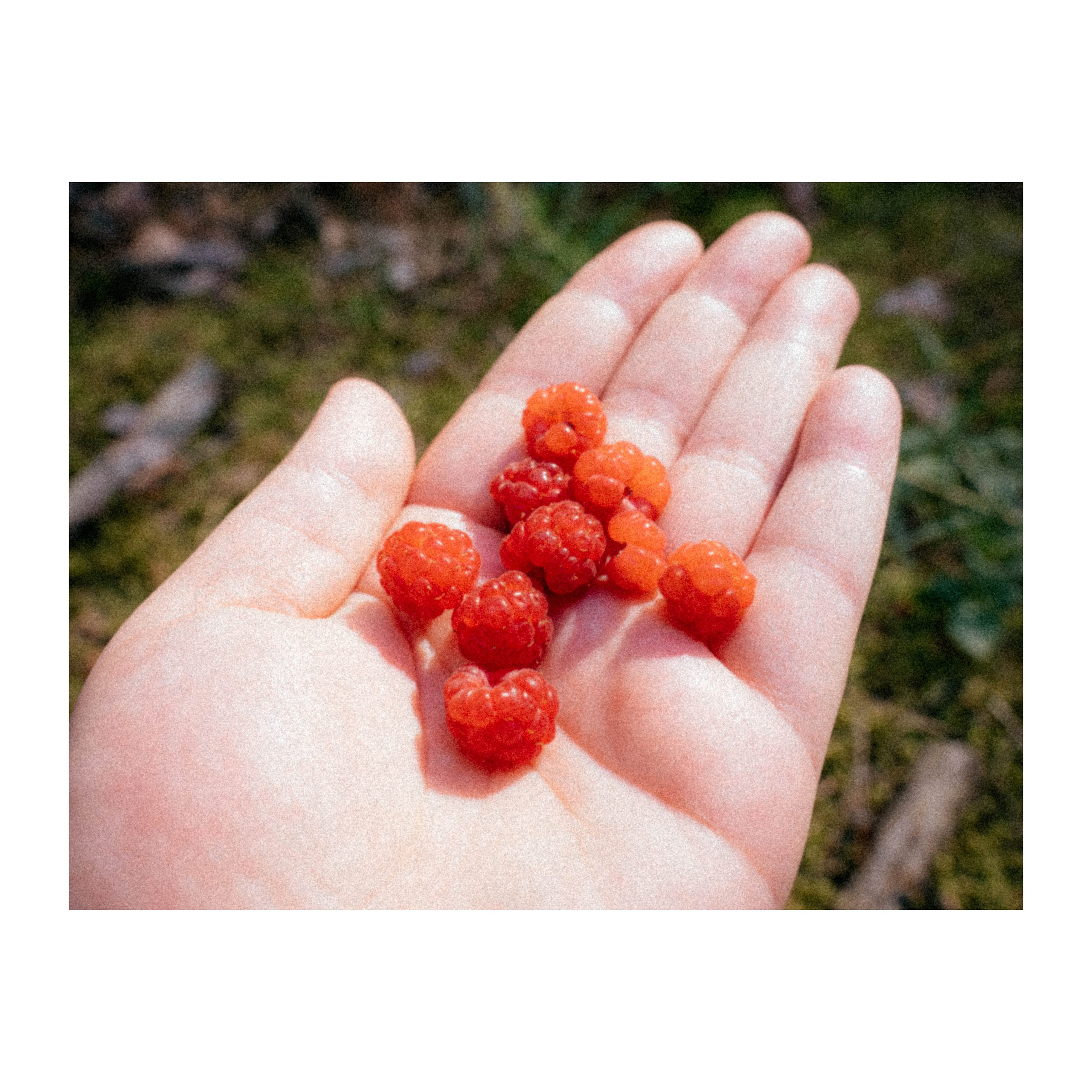 Нижний Новгород. Фотограф из Москвы — DASHA NOVA | Авторская фотография в разных жанрах