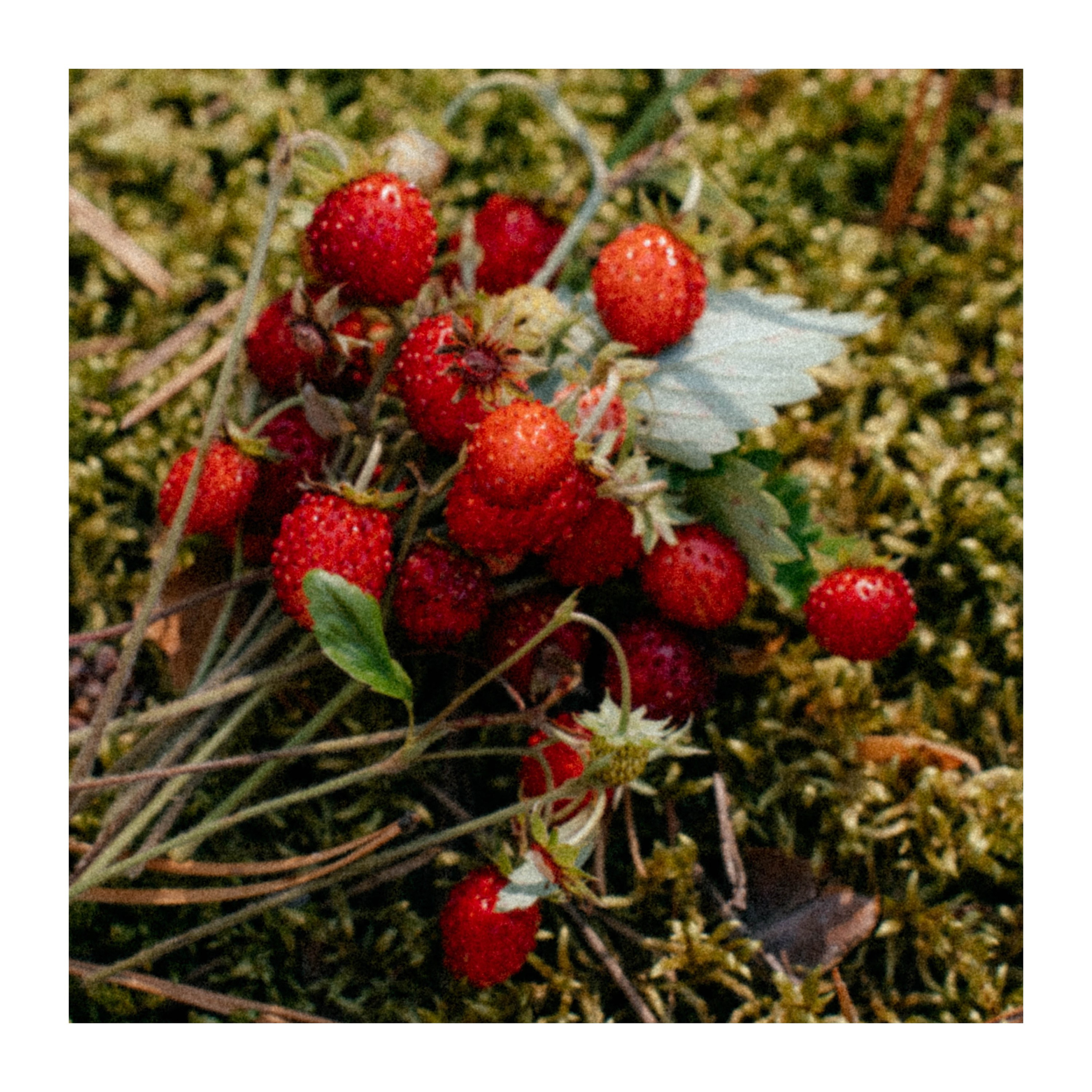 Нижний Новгород. Фотограф из Москвы — DASHA NOVA | Авторская фотография в разных жанрах