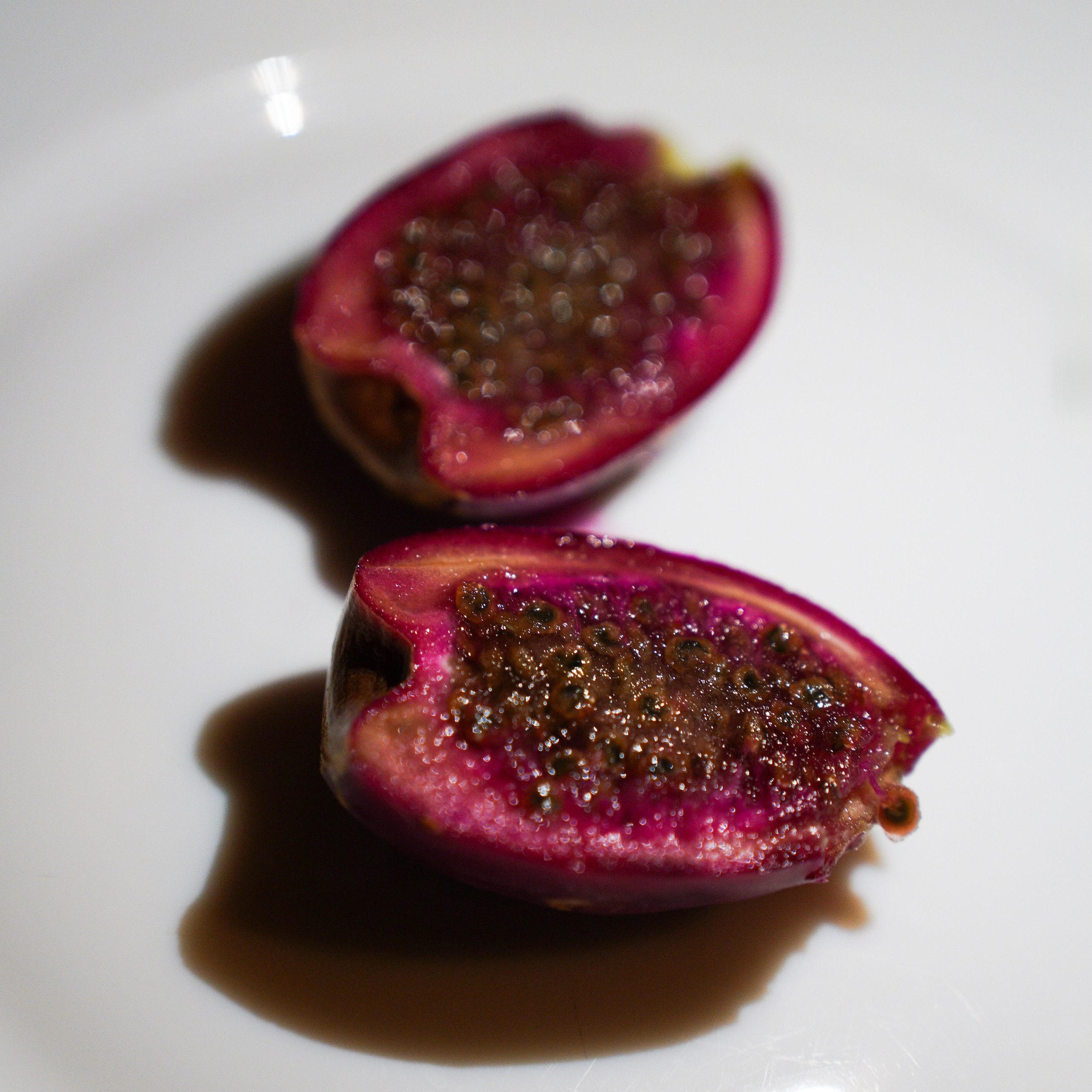 Крым. Фотограф из Москвы — DASHA NOVA | Авторская фотография в разных жанрах