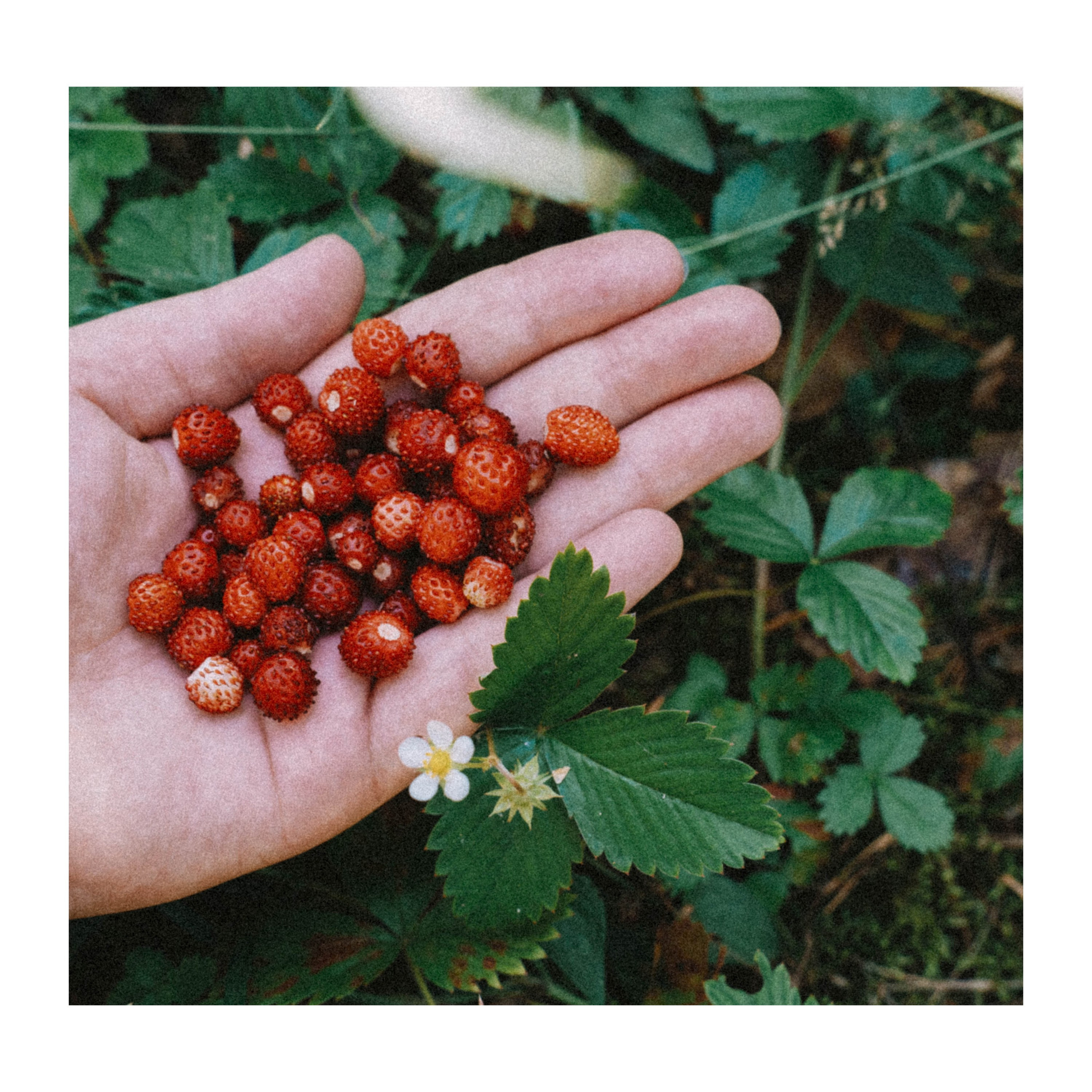 Нижний Новгород. Фотограф из Москвы — DASHA NOVA | Авторская фотография в разных жанрах