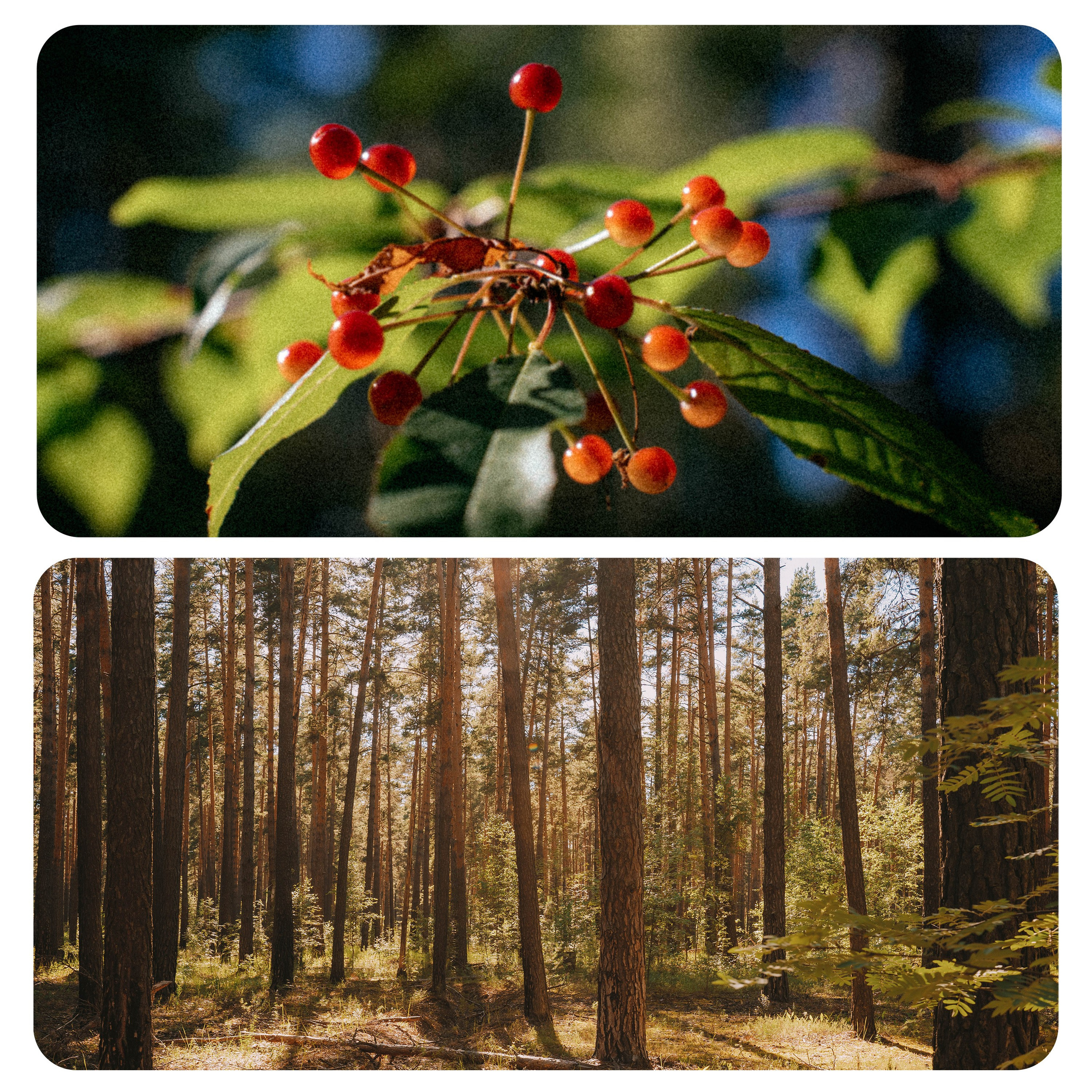 Нижний Новгород. Фотограф из Москвы — DASHA NOVA | Авторская фотография в разных жанрах