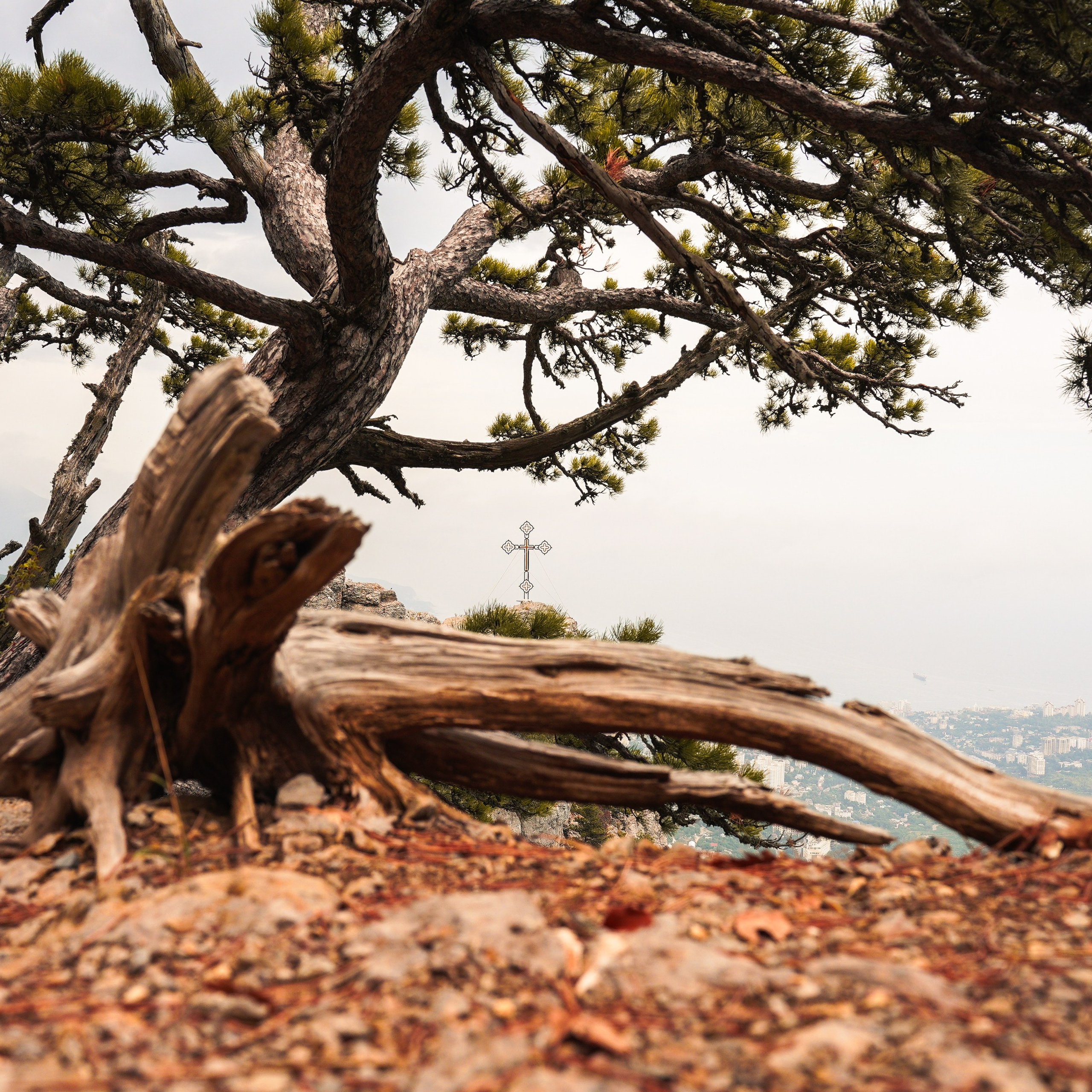 Боткинская тропа