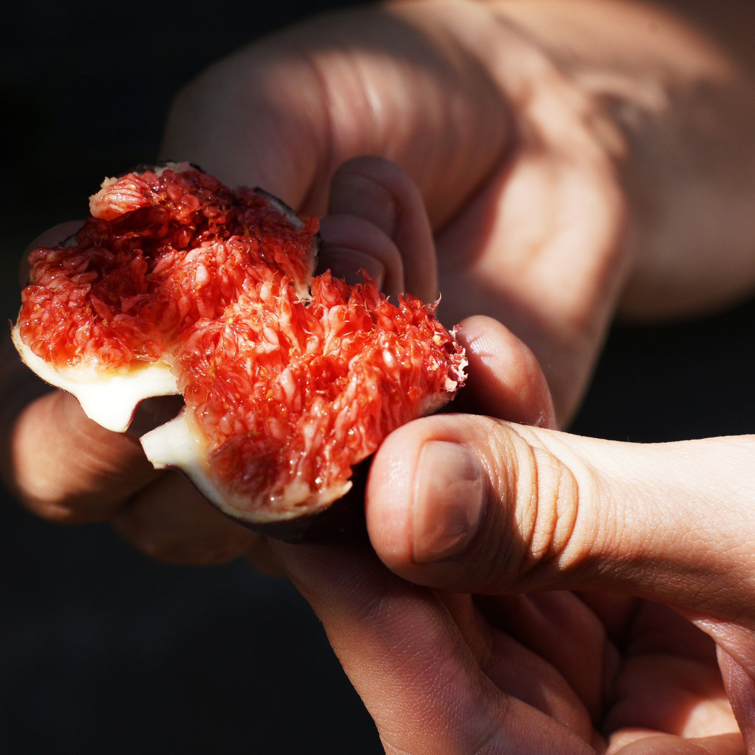 Крым. Фотограф из Москвы — DASHA NOVA | Авторская фотография в разных жанрах