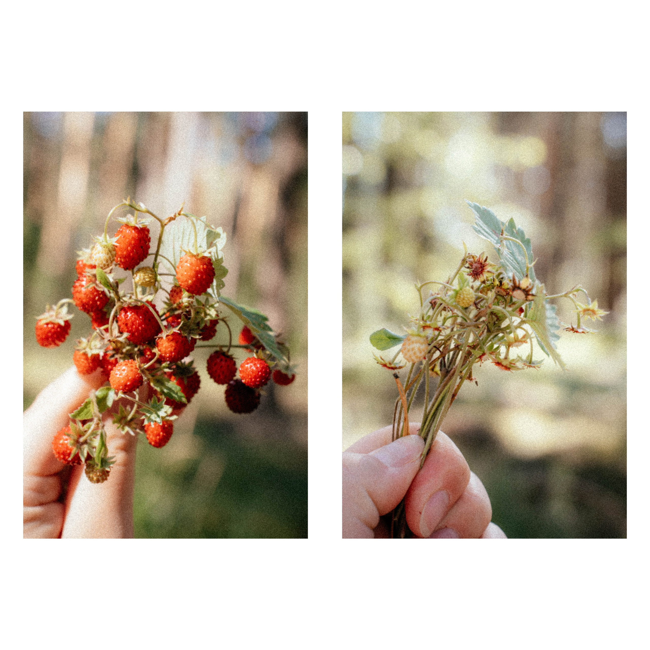 Нижний Новгород. Фотограф из Москвы — DASHA NOVA | Авторская фотография в разных жанрах
