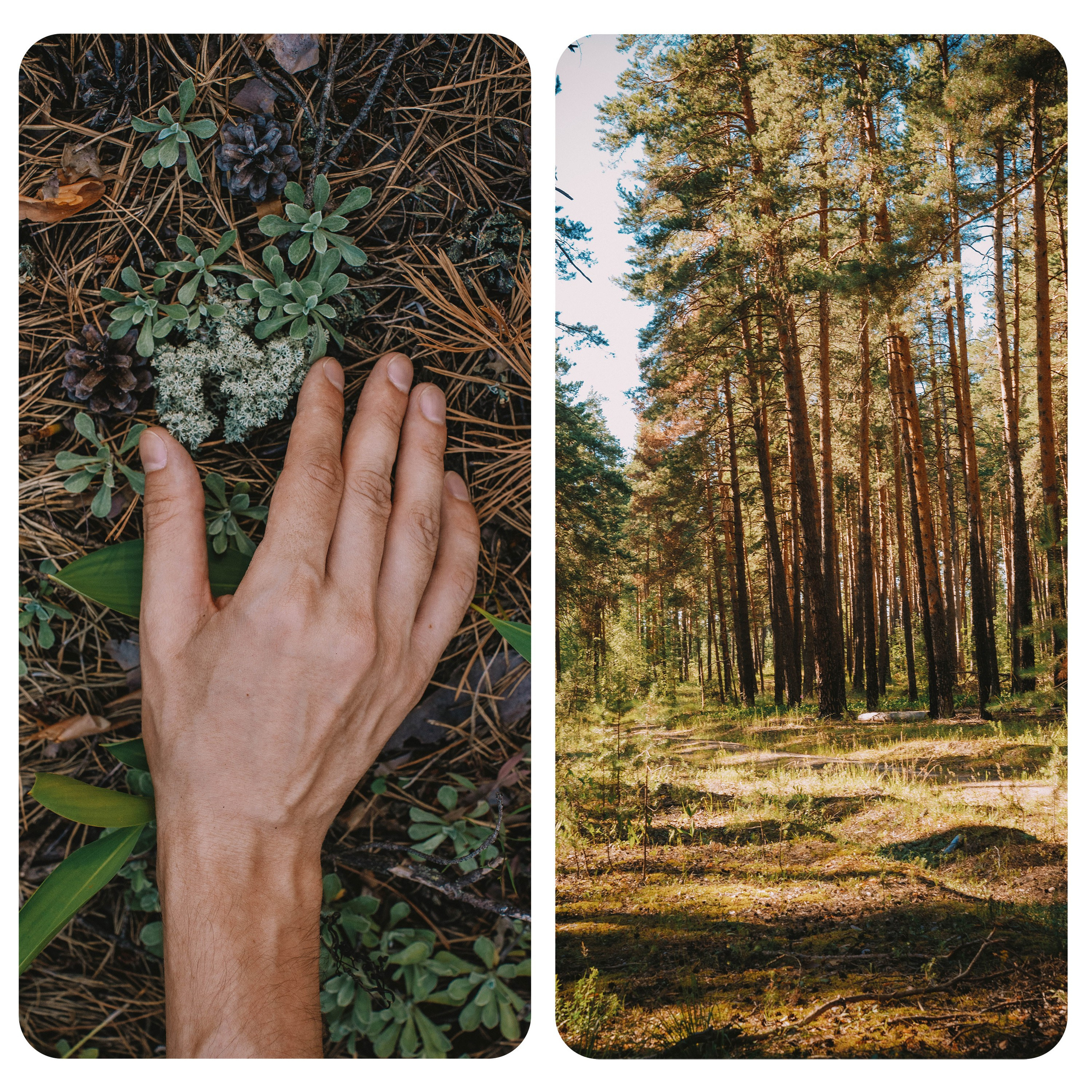 Нижний Новгород. Фотограф из Москвы — DASHA NOVA | Авторская фотография в разных жанрах