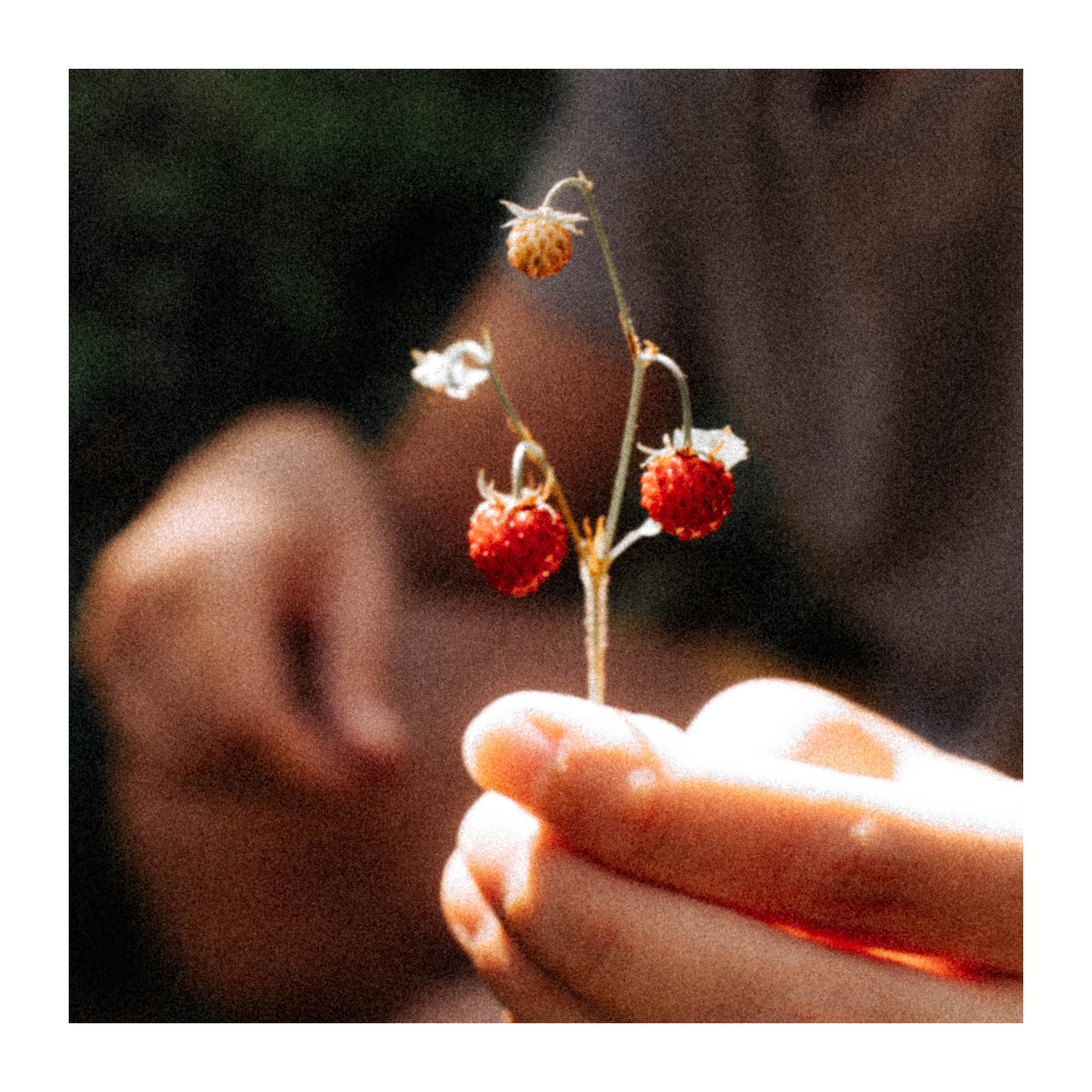 Нижний Новгород. Фотограф из Москвы — DASHA NOVA | Авторская фотография в разных жанрах