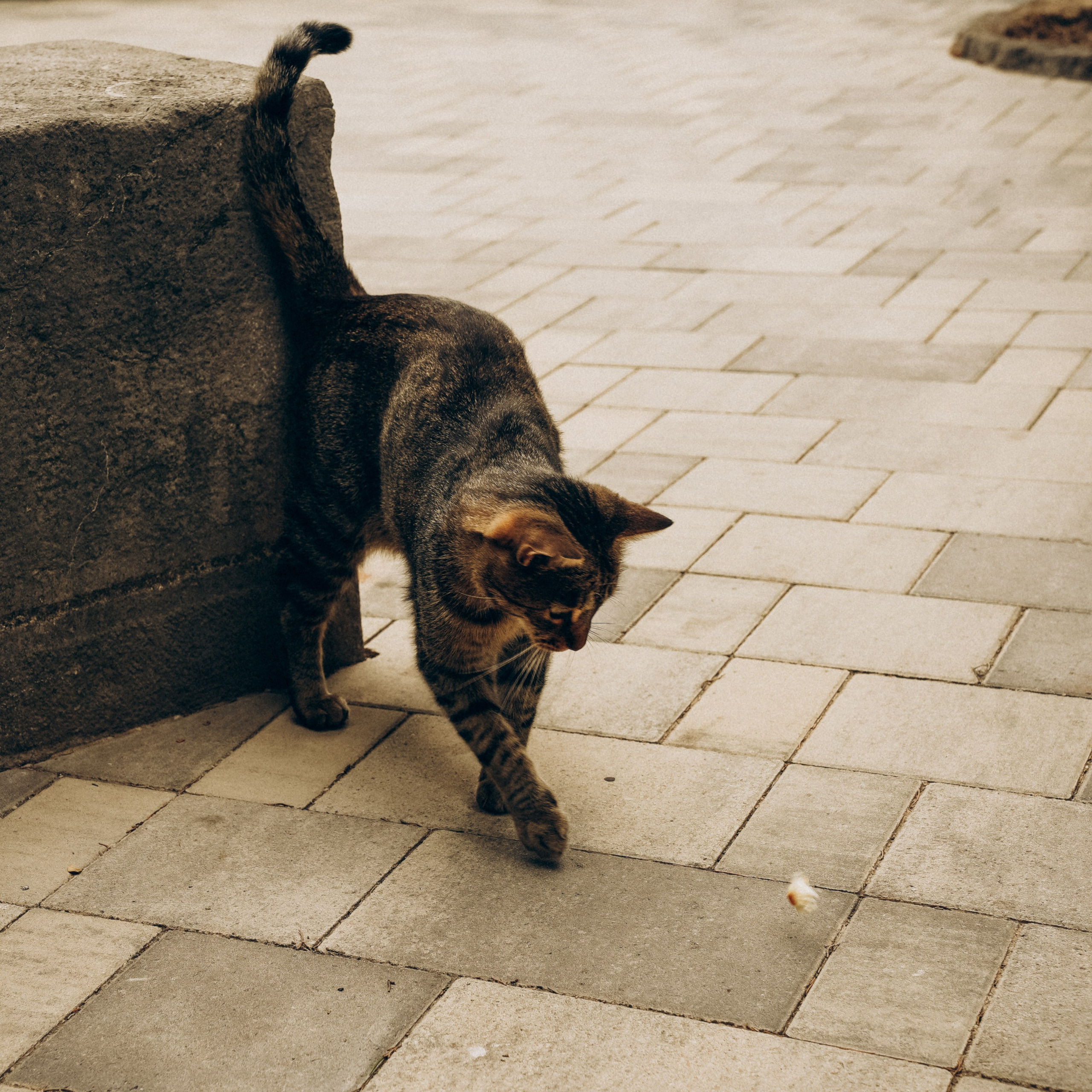 Крым. Фотограф из Москвы — DASHA NOVA | Авторская фотография в разных жанрах