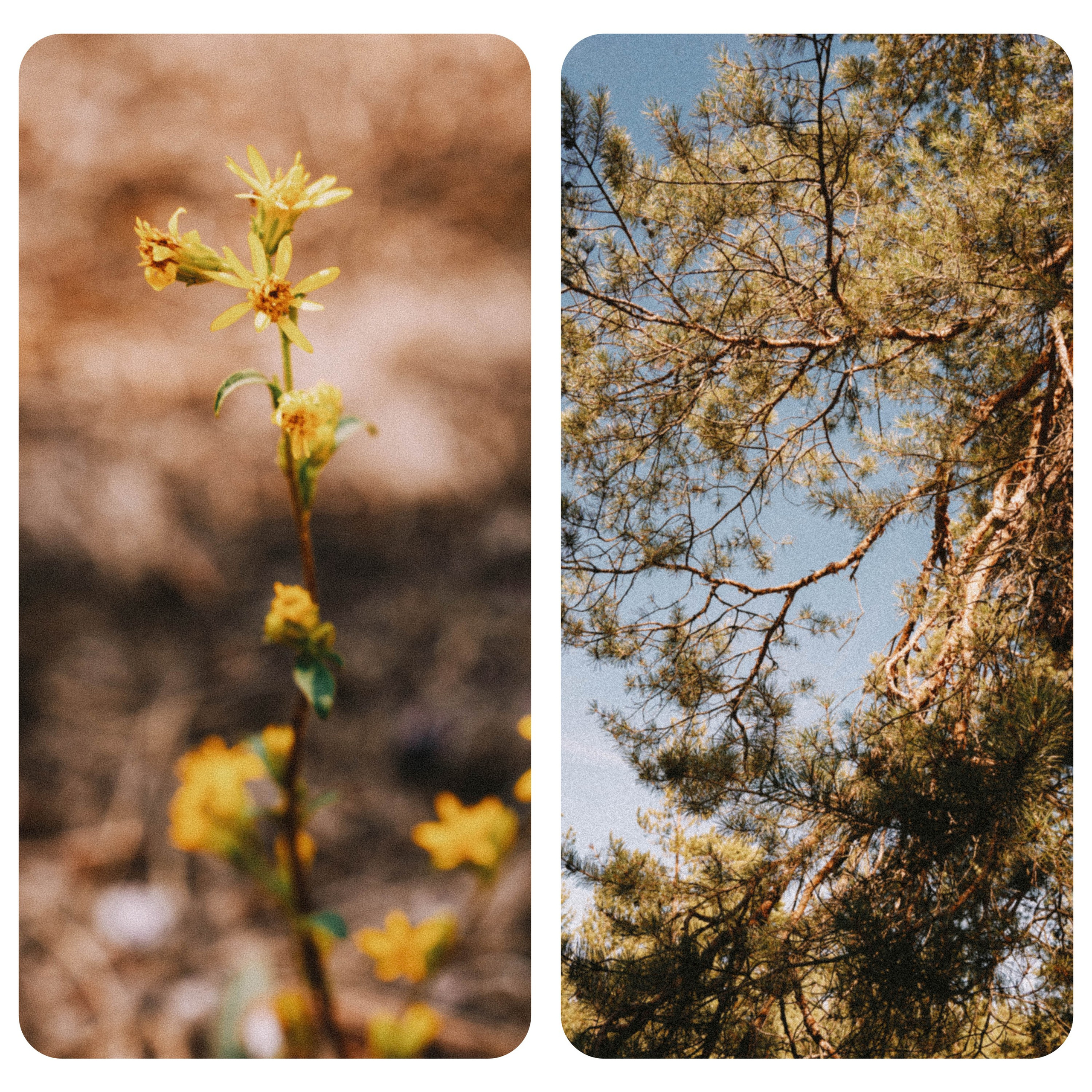 Нижний Новгород. Фотограф из Москвы — DASHA NOVA | Авторская фотография в разных жанрах