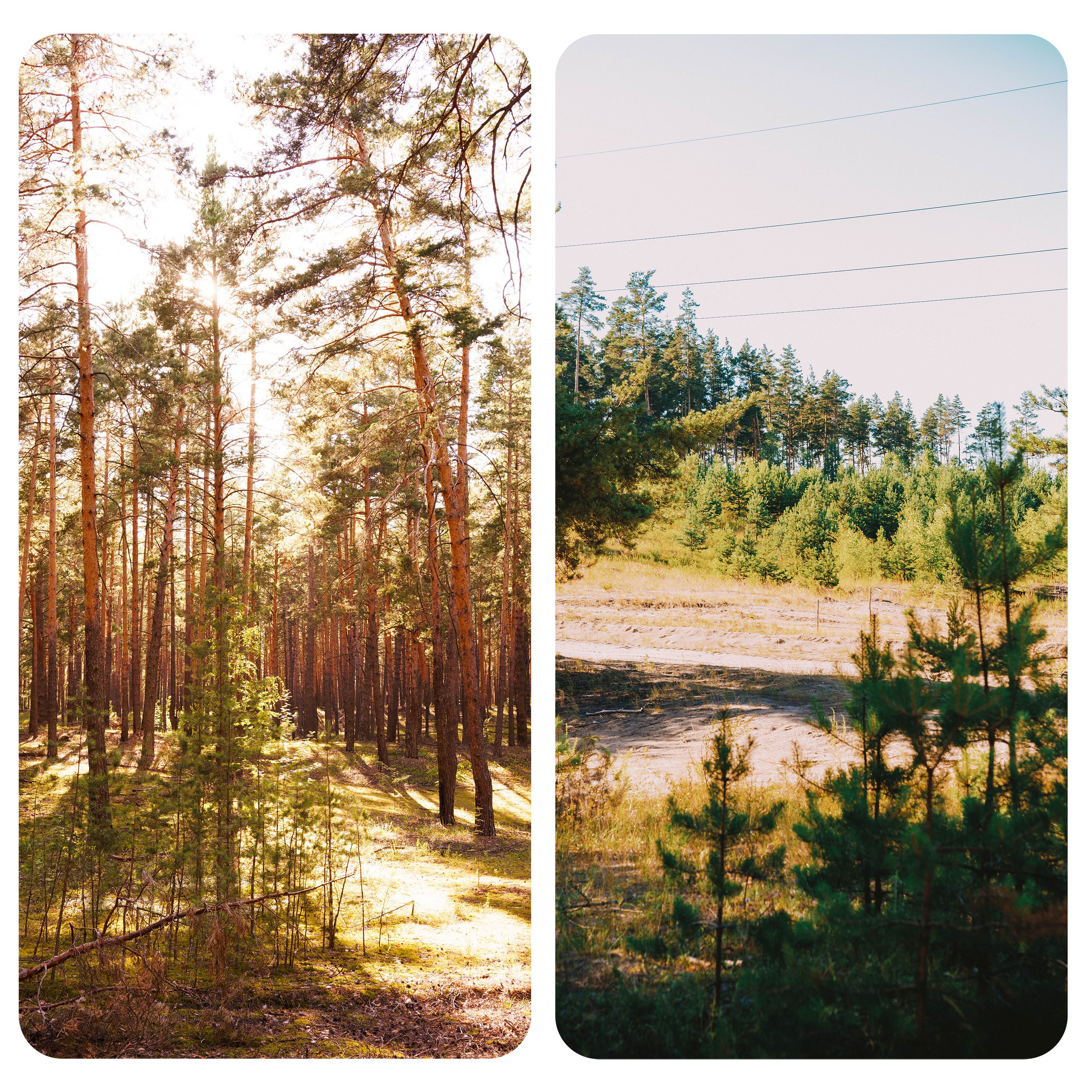 Нижний Новгород. Фотограф из Москвы — DASHA NOVA | Авторская фотография в разных жанрах