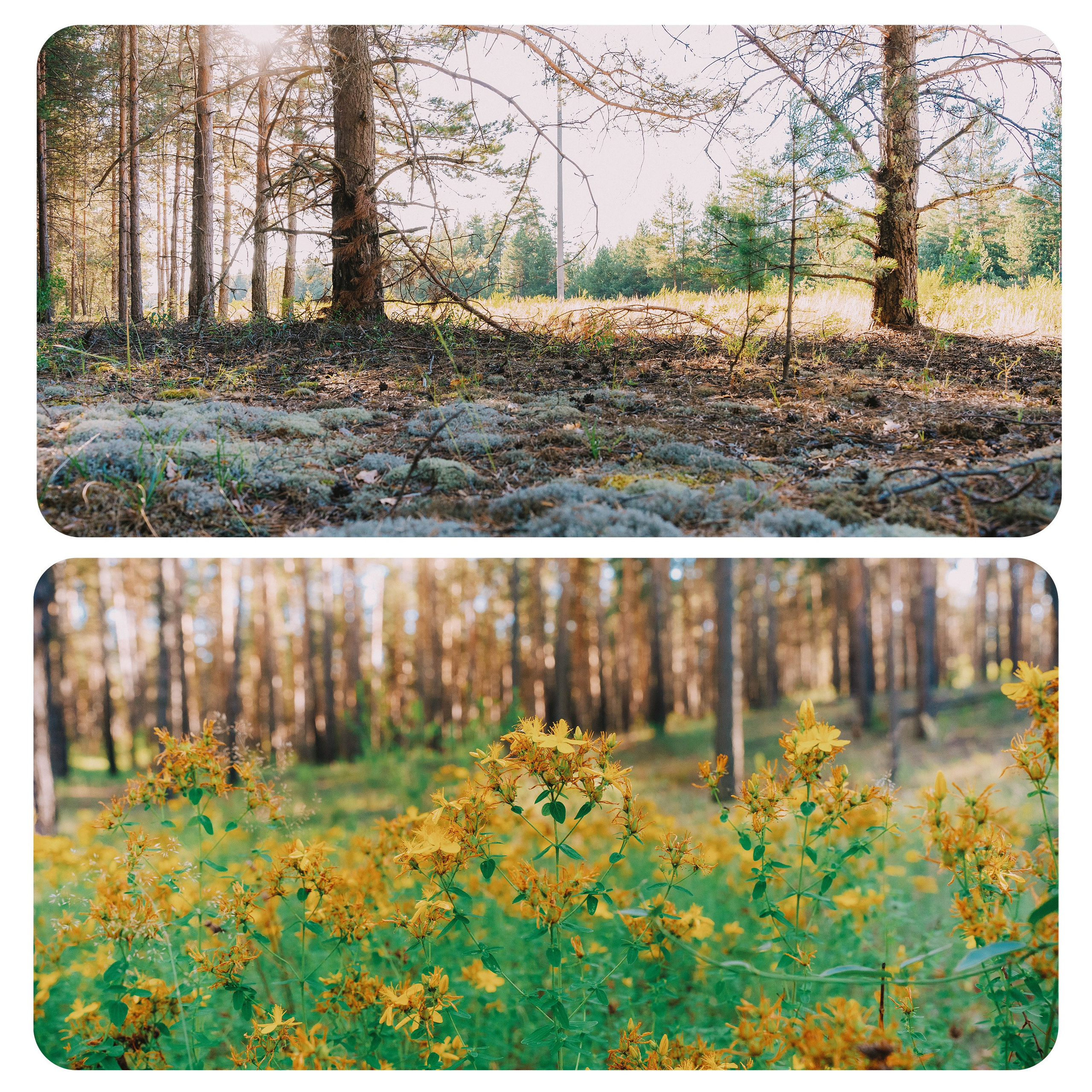 Нижний Новгород. Фотограф из Москвы — DASHA NOVA | Авторская фотография в разных жанрах