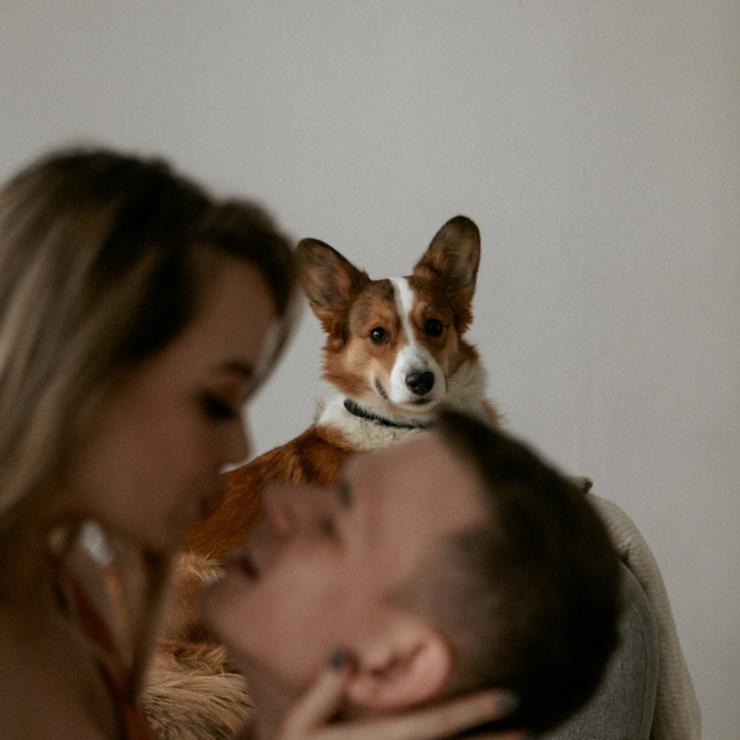 Даня и Данила