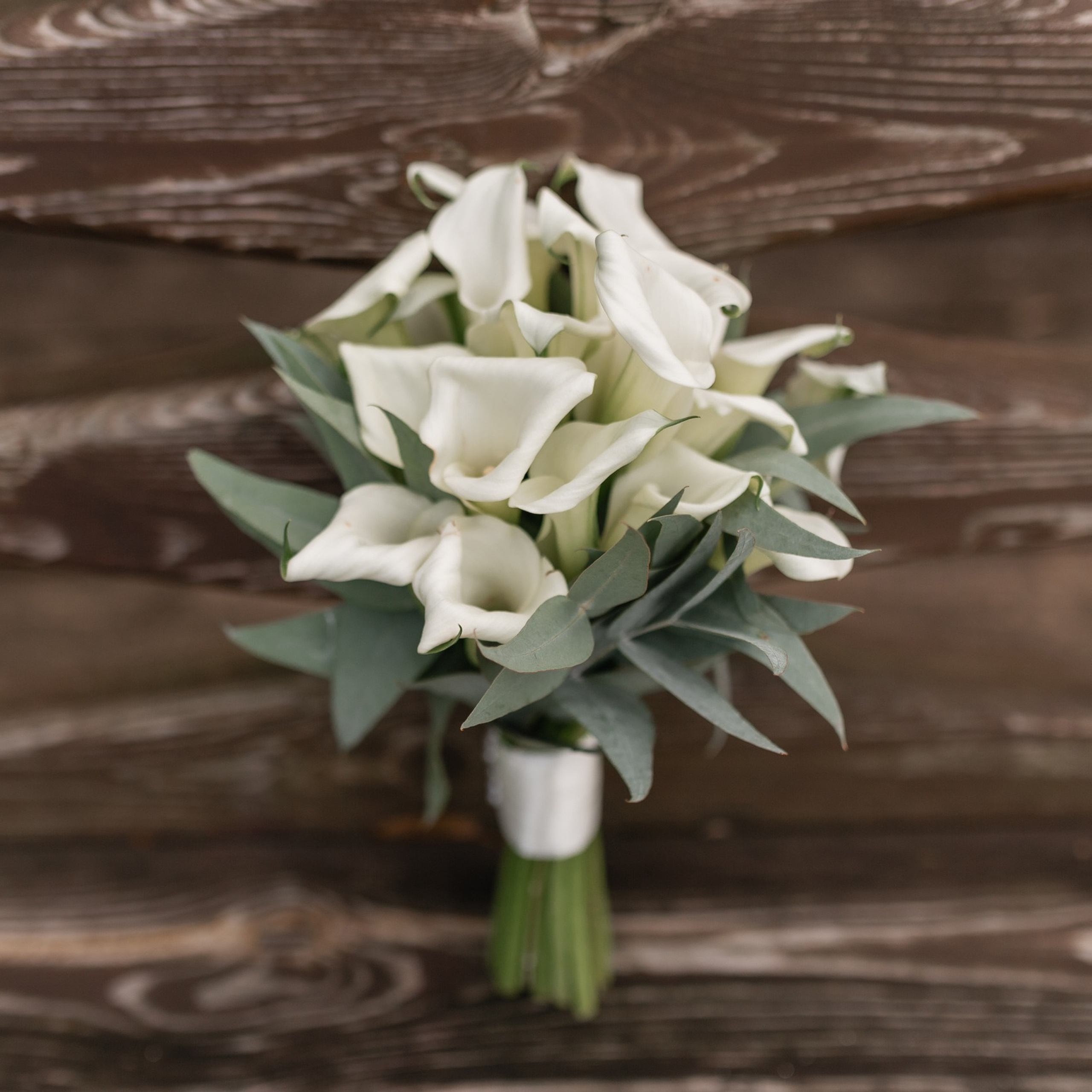 Отзывы. Семейный фотограф в Каневской Епифанова Ольга