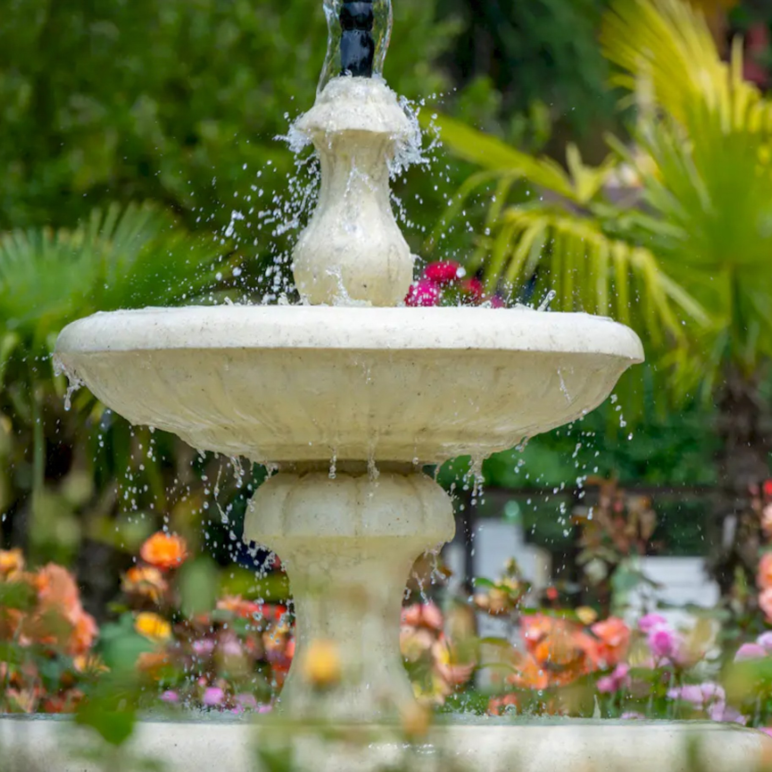 Парк Ривьера