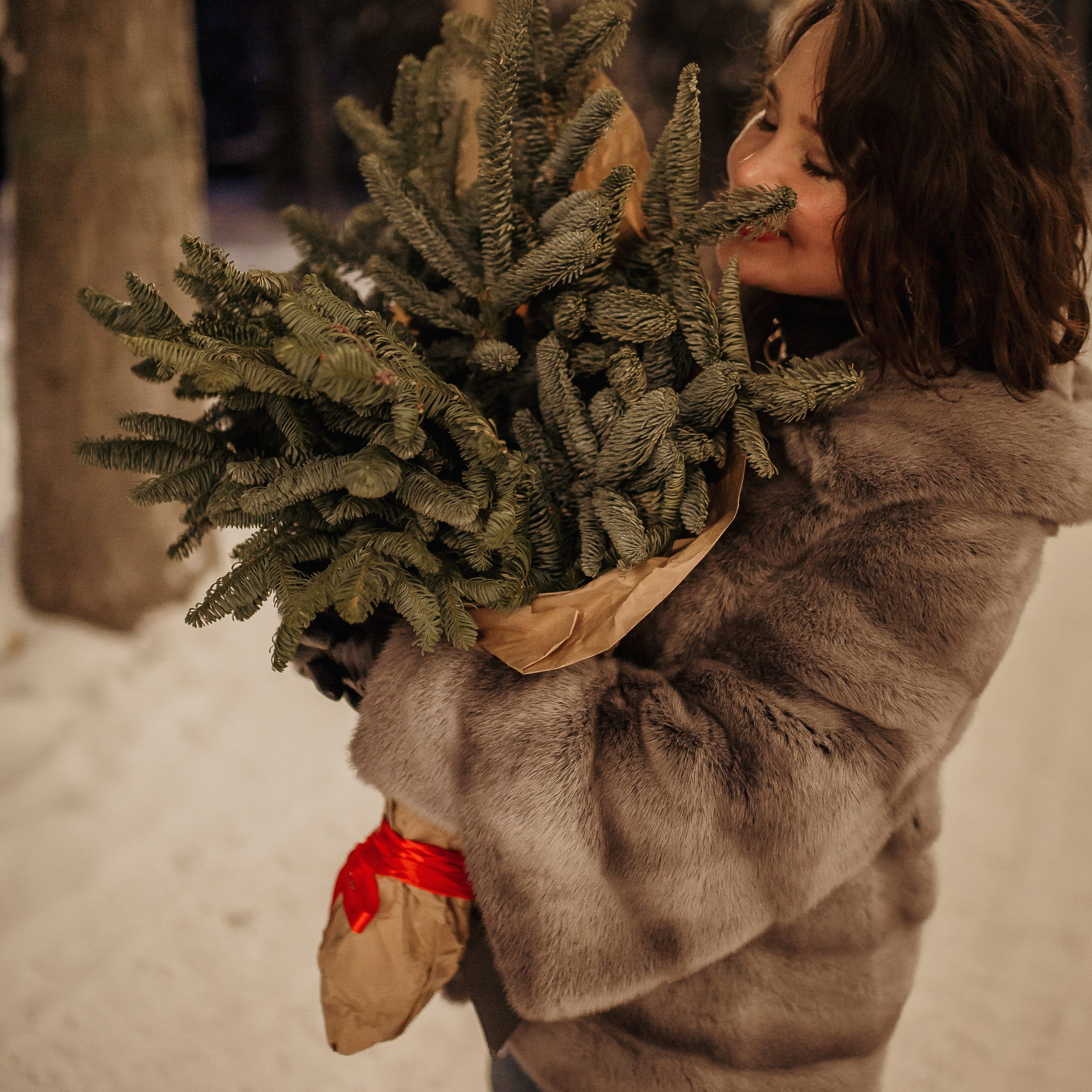 Сказка в лесу