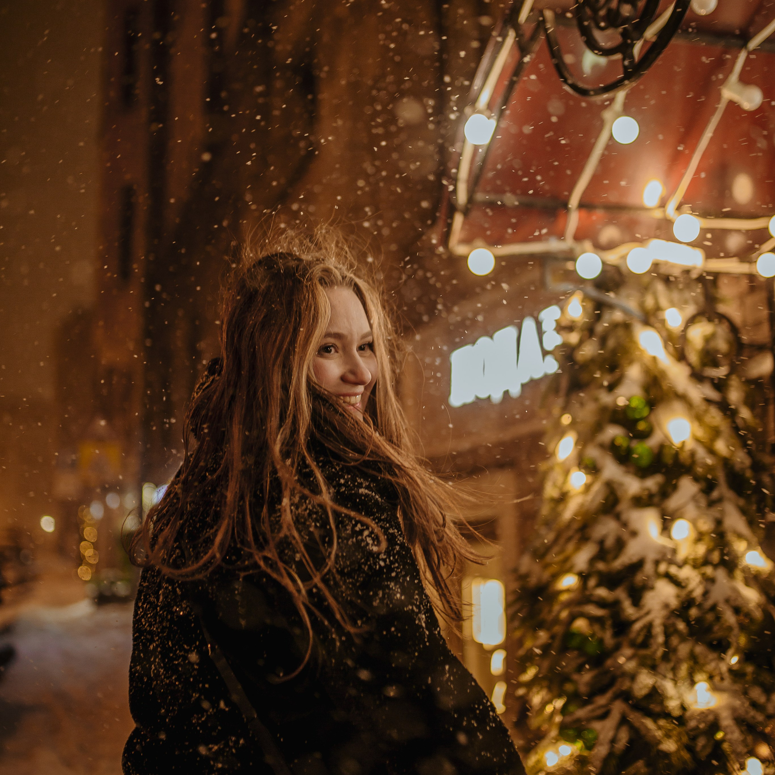 Елена Снегопад