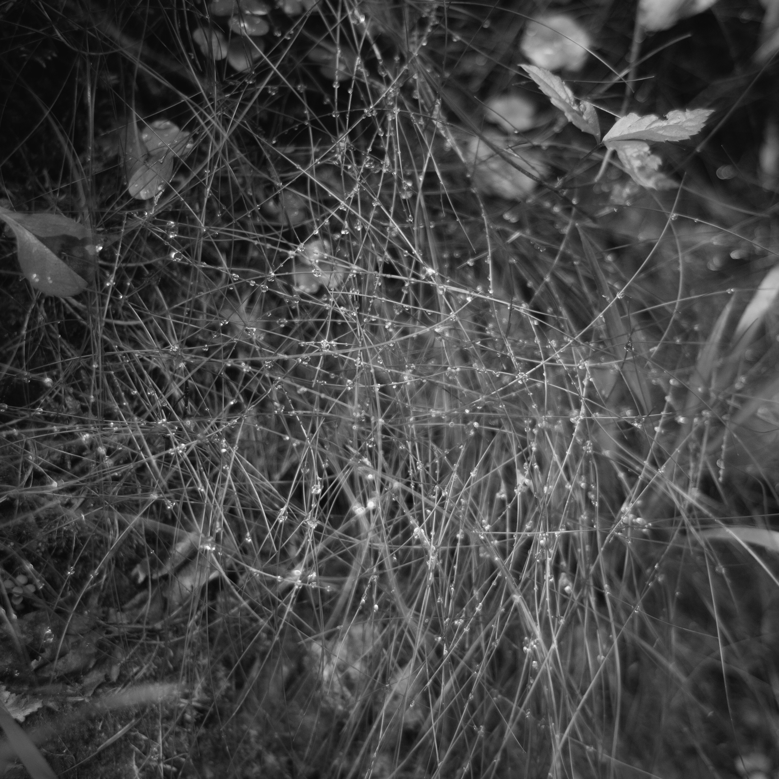 Отзывы. Фотограф Анна Кирнос