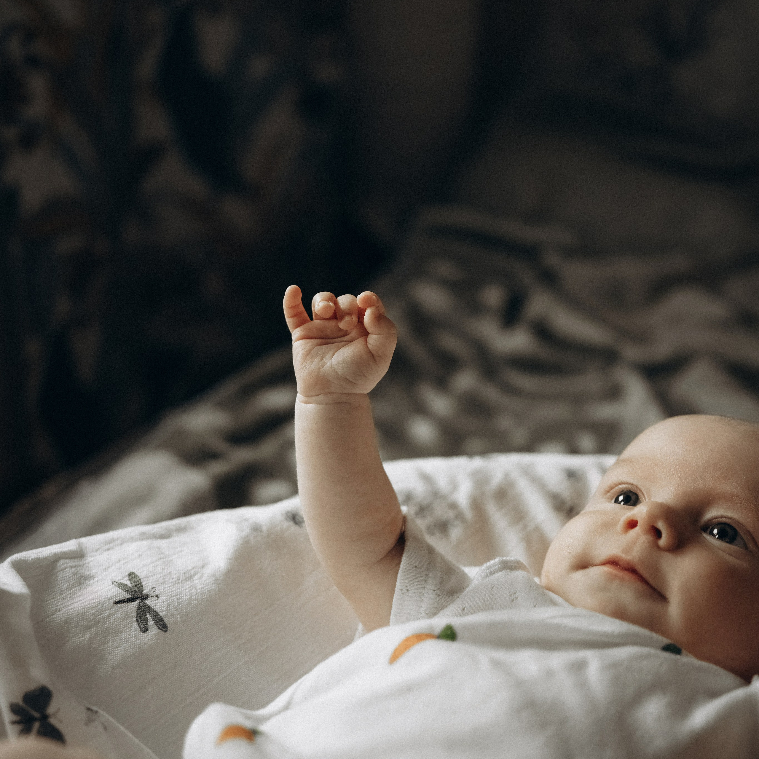 Малыш Вова и семья