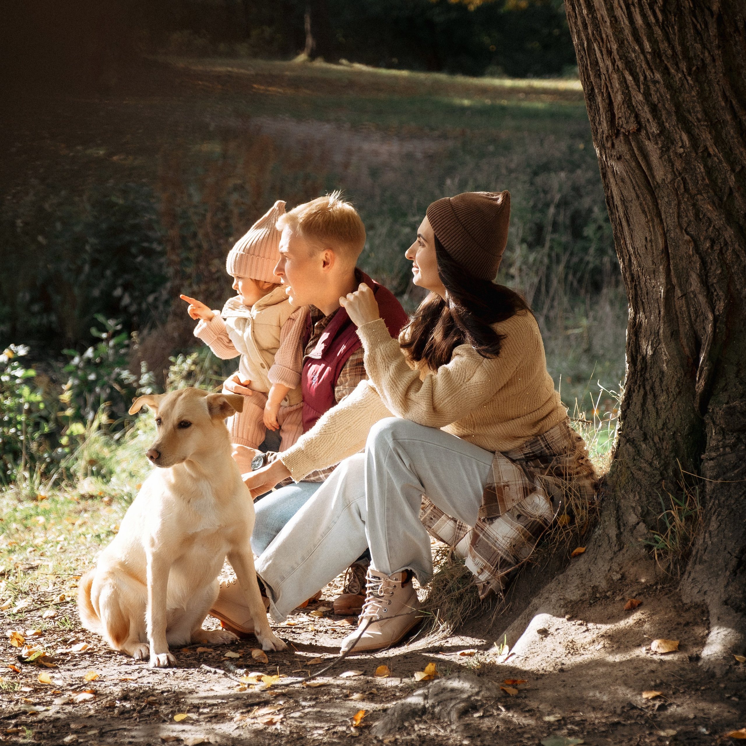 Осенняя история