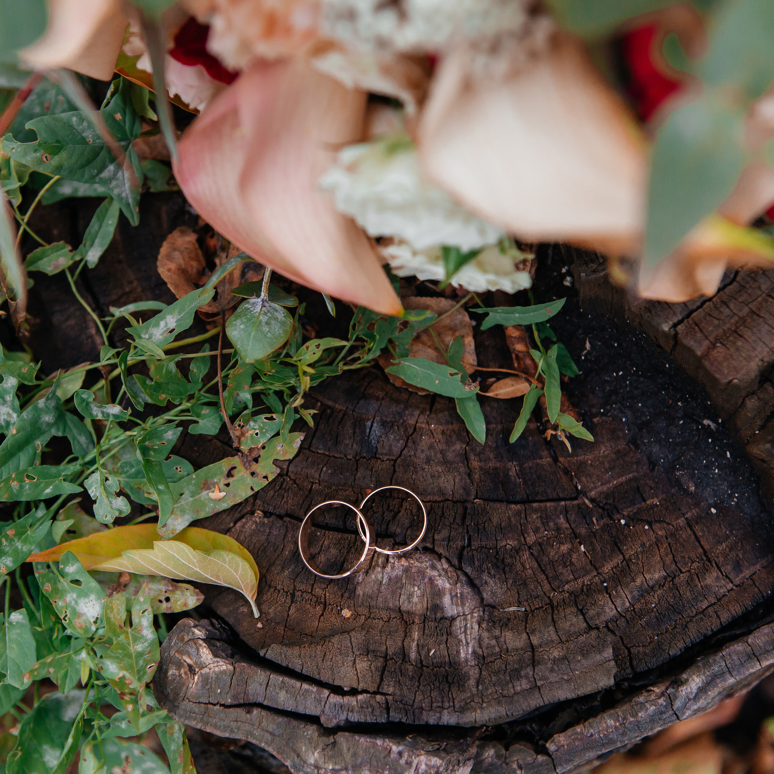 Свадьба Анны и Павла 08.10.21