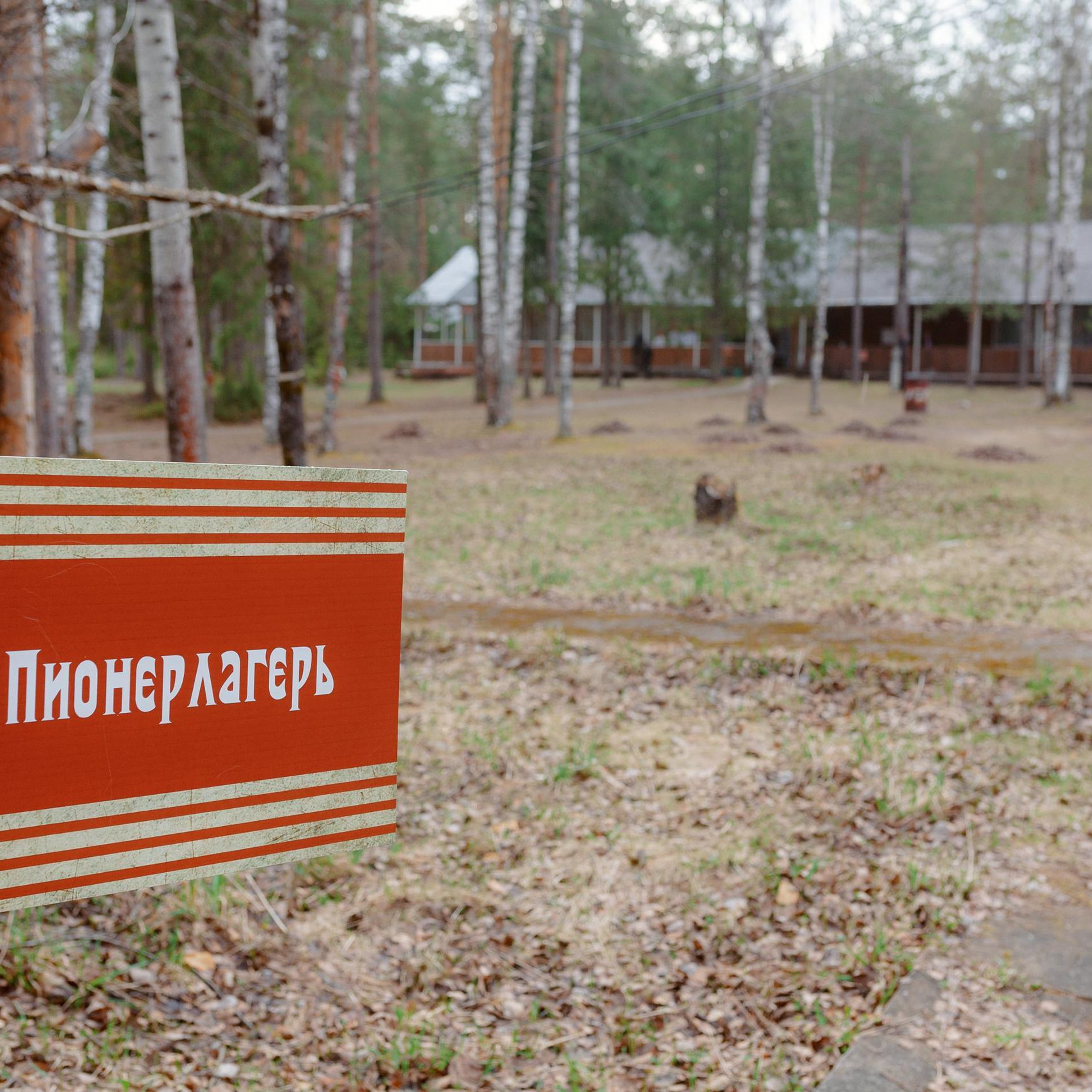 Отзывы. Свадебный и семейный фотограф в Кирове, Малых Никита