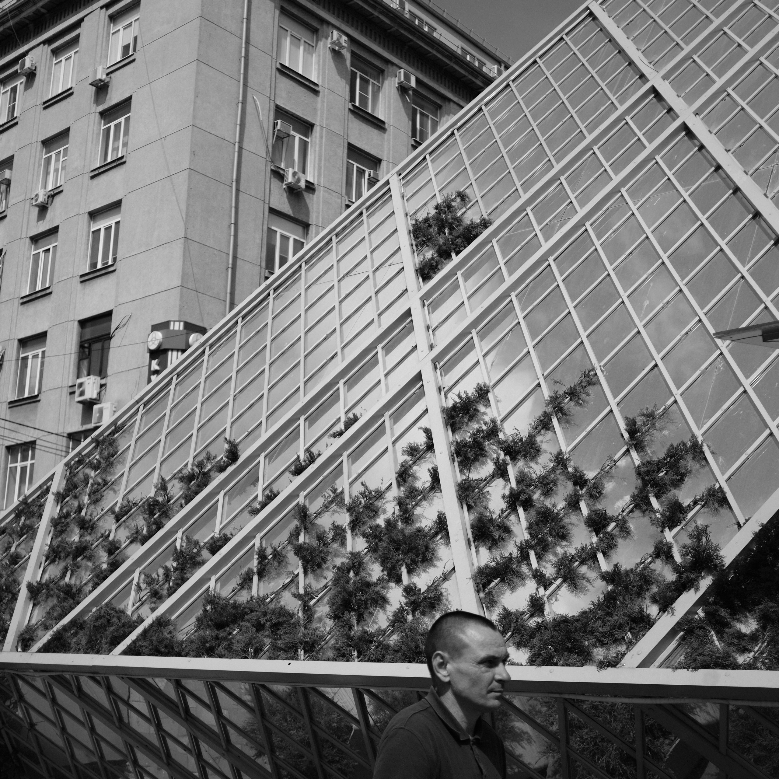 Краснодар. LIYALEE PHOTO